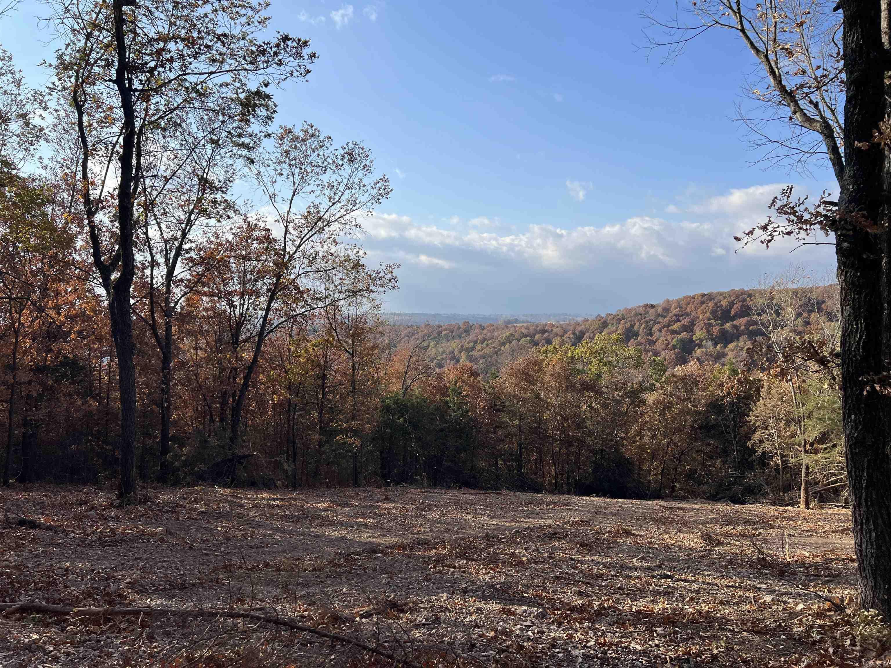 11.00 Ac Jackson Ridge Property Photo 4