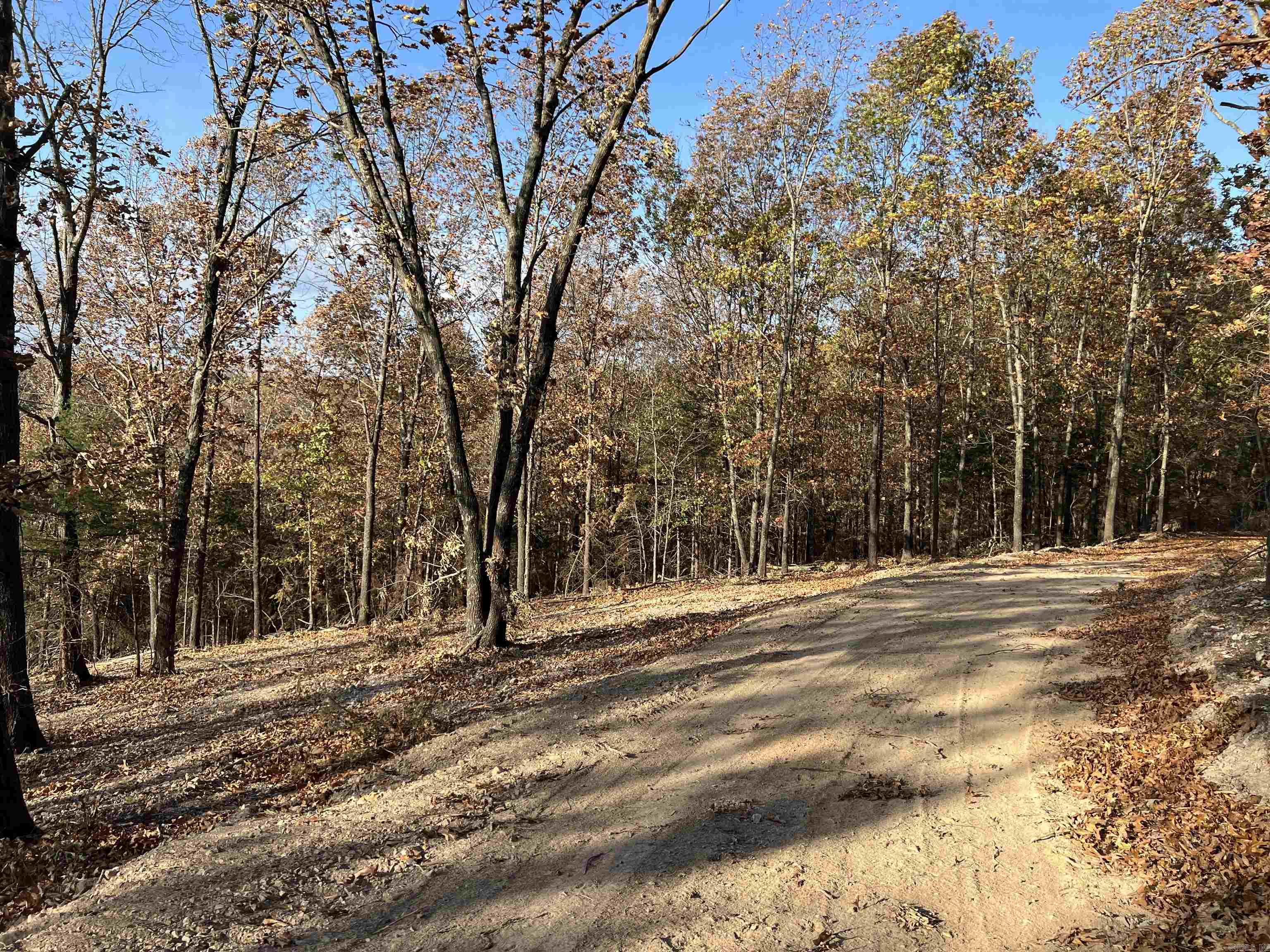 11.00 Ac Jackson Ridge Property Photo 5