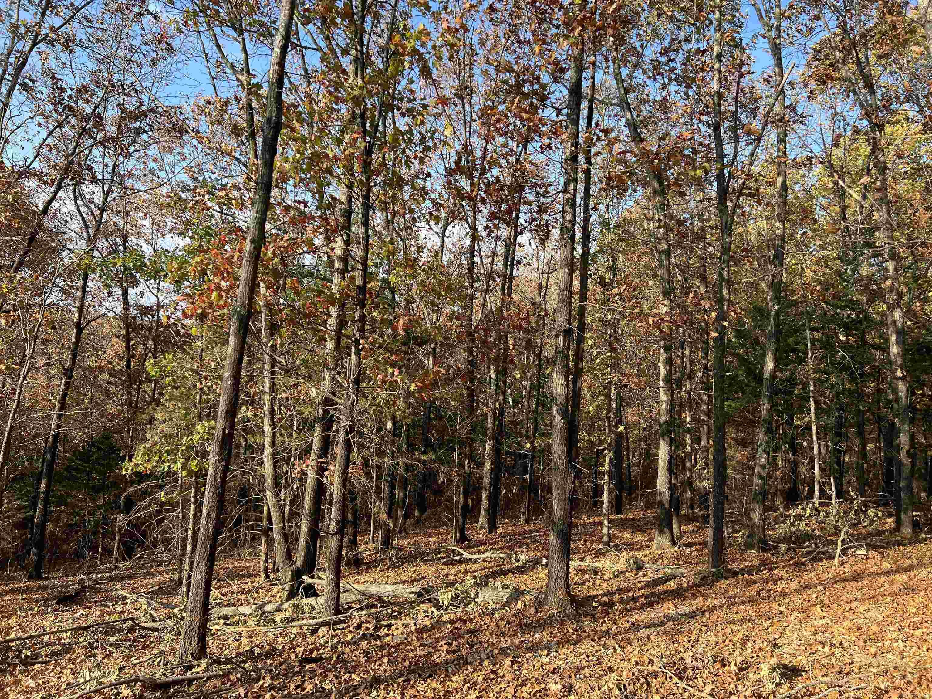 11.00 Ac Jackson Ridge Property Photo 6