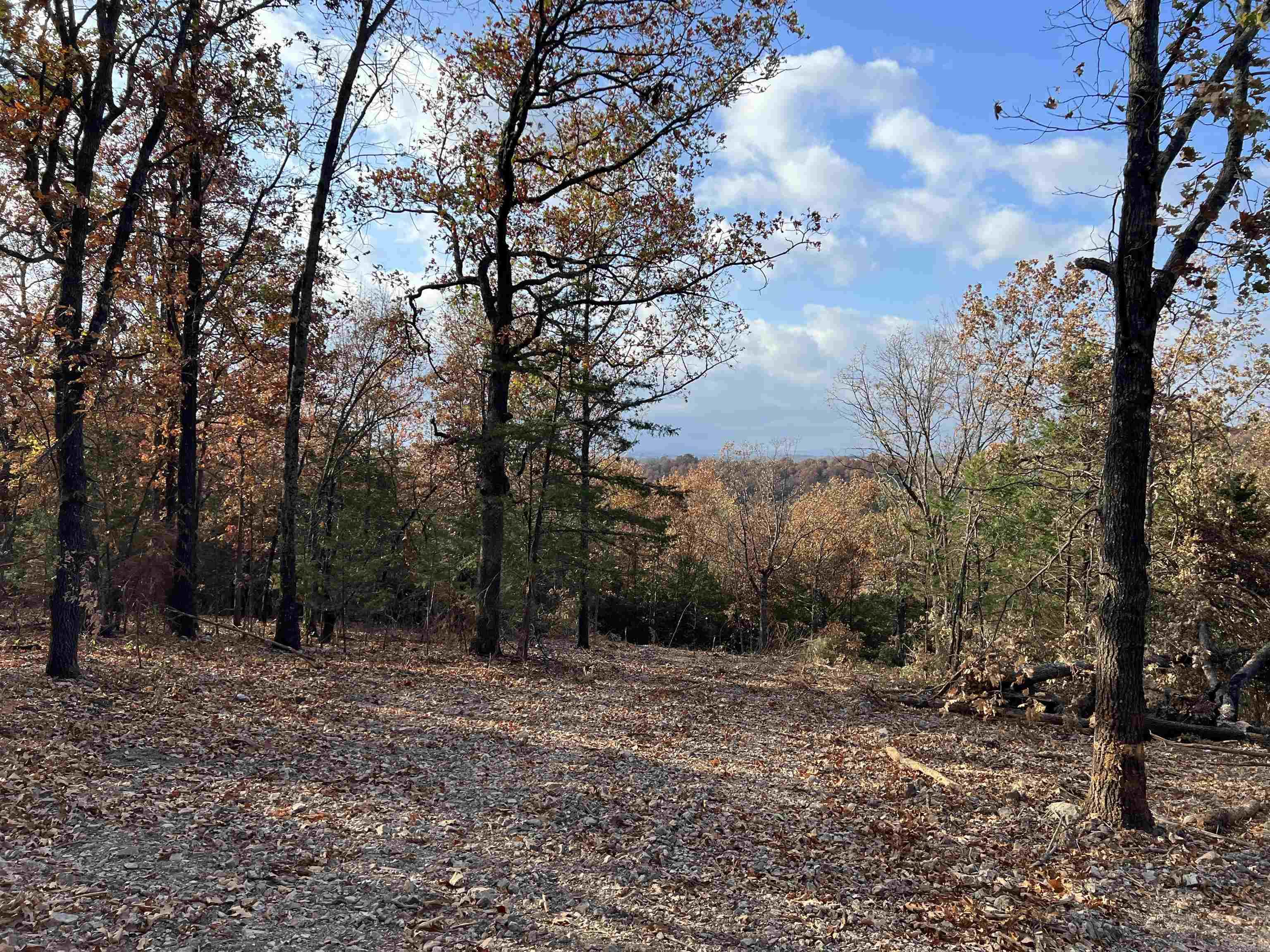 10.14 Ac Jackson Ridge Property Photo 1