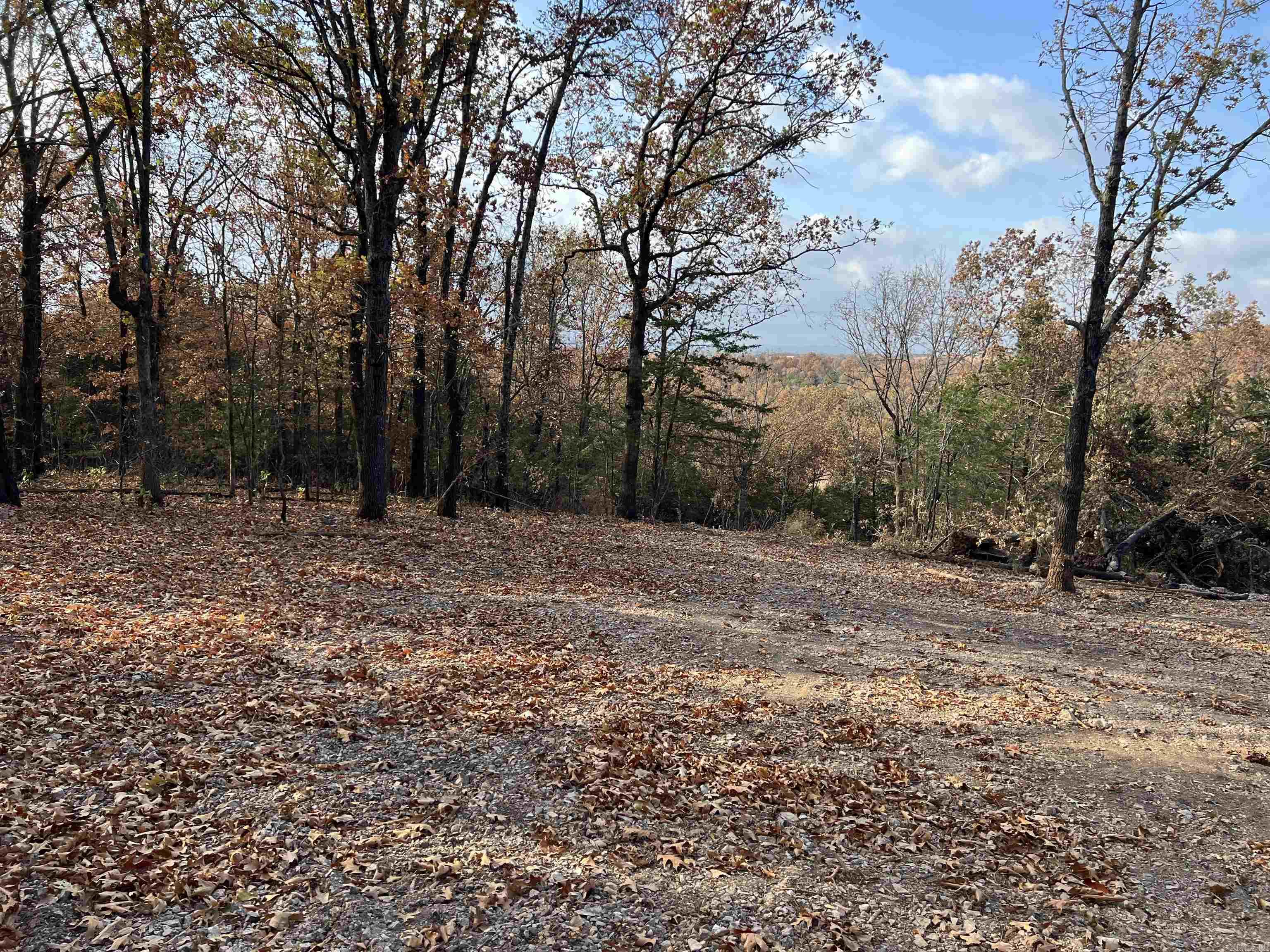 10.14 Ac Jackson Ridge Property Photo 2