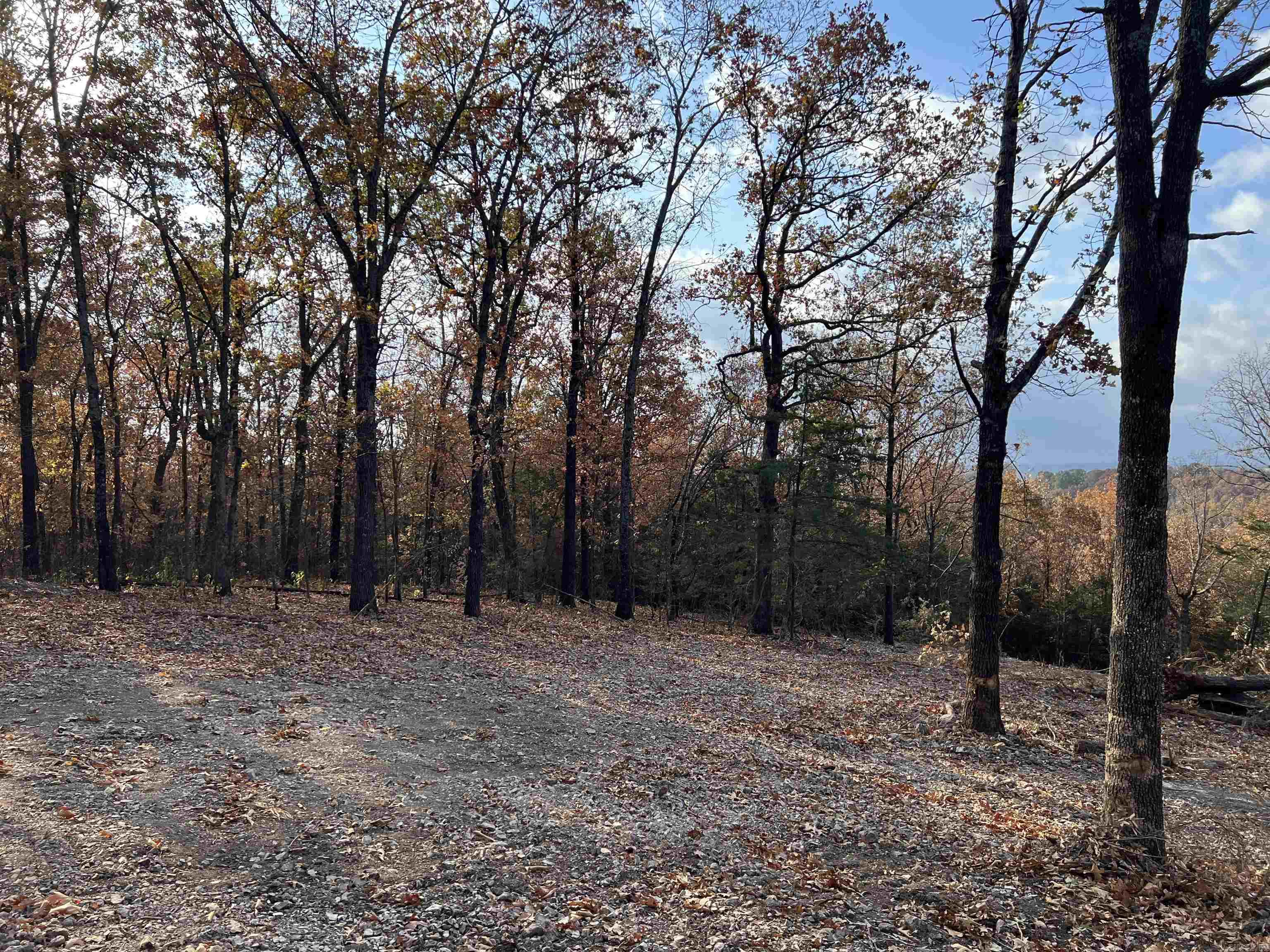 10.14 Ac Jackson Ridge Property Photo 3