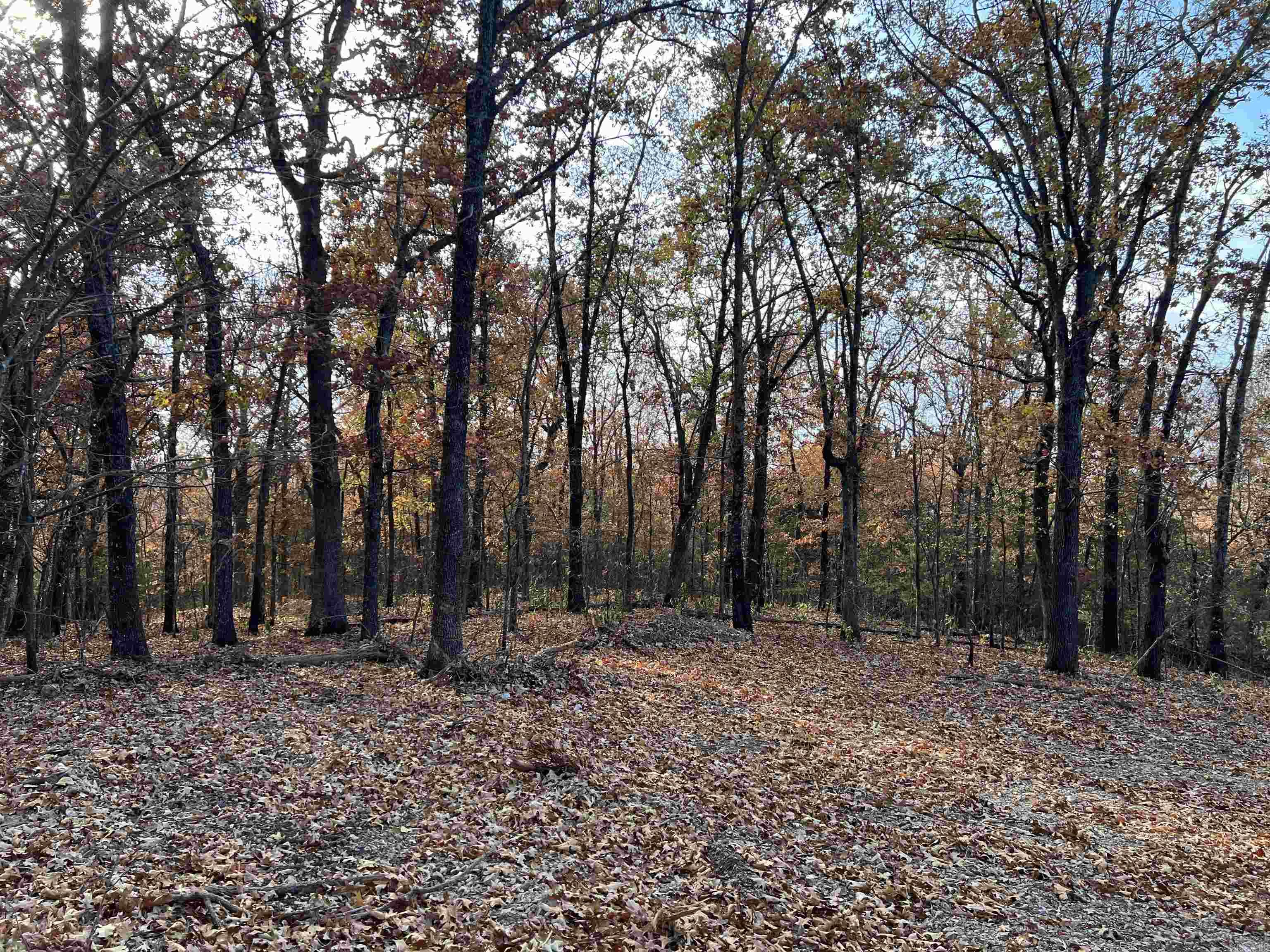 10.14 Ac Jackson Ridge Property Photo 4