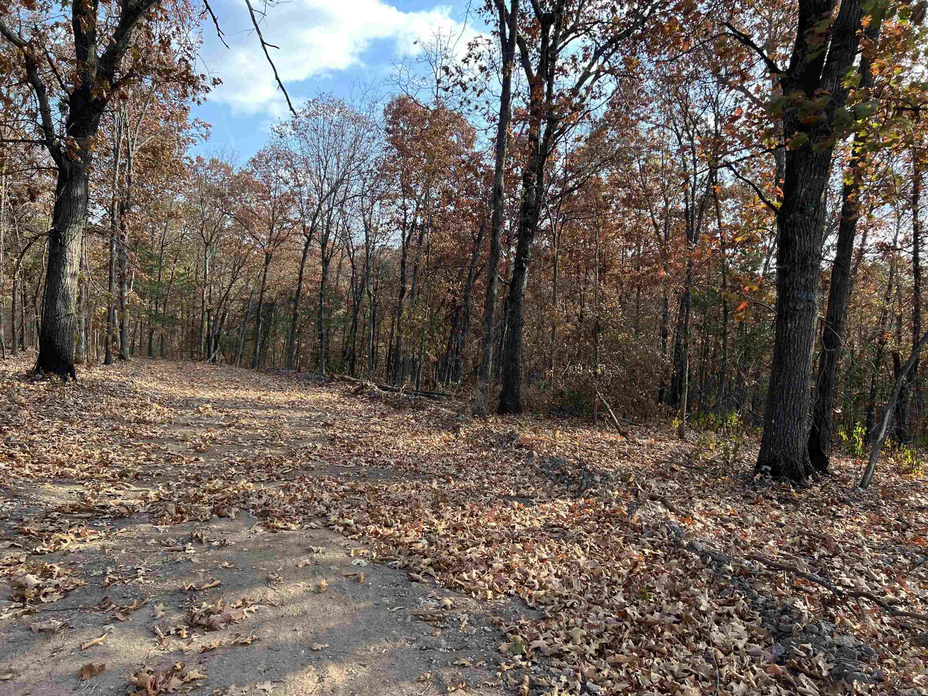 10.14 Ac Jackson Ridge Property Photo 5
