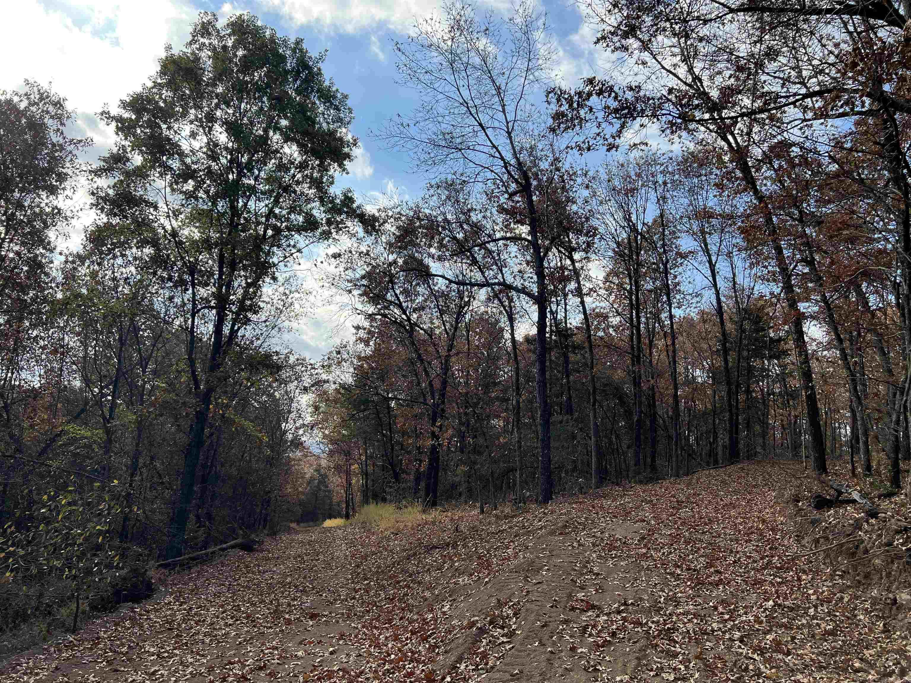 10.14 Ac Jackson Ridge Property Photo 6