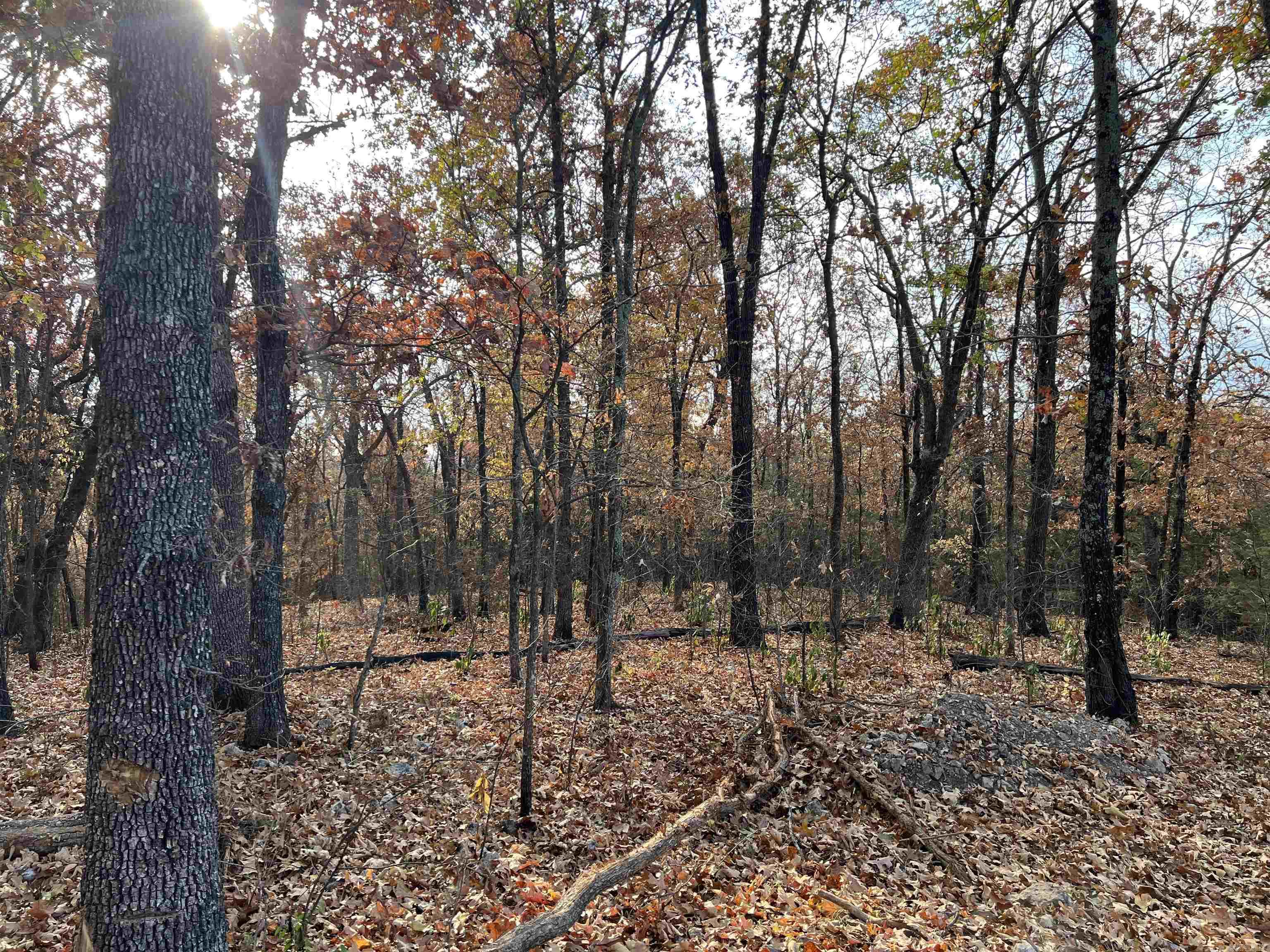 10.14 Ac Jackson Ridge Property Photo 7