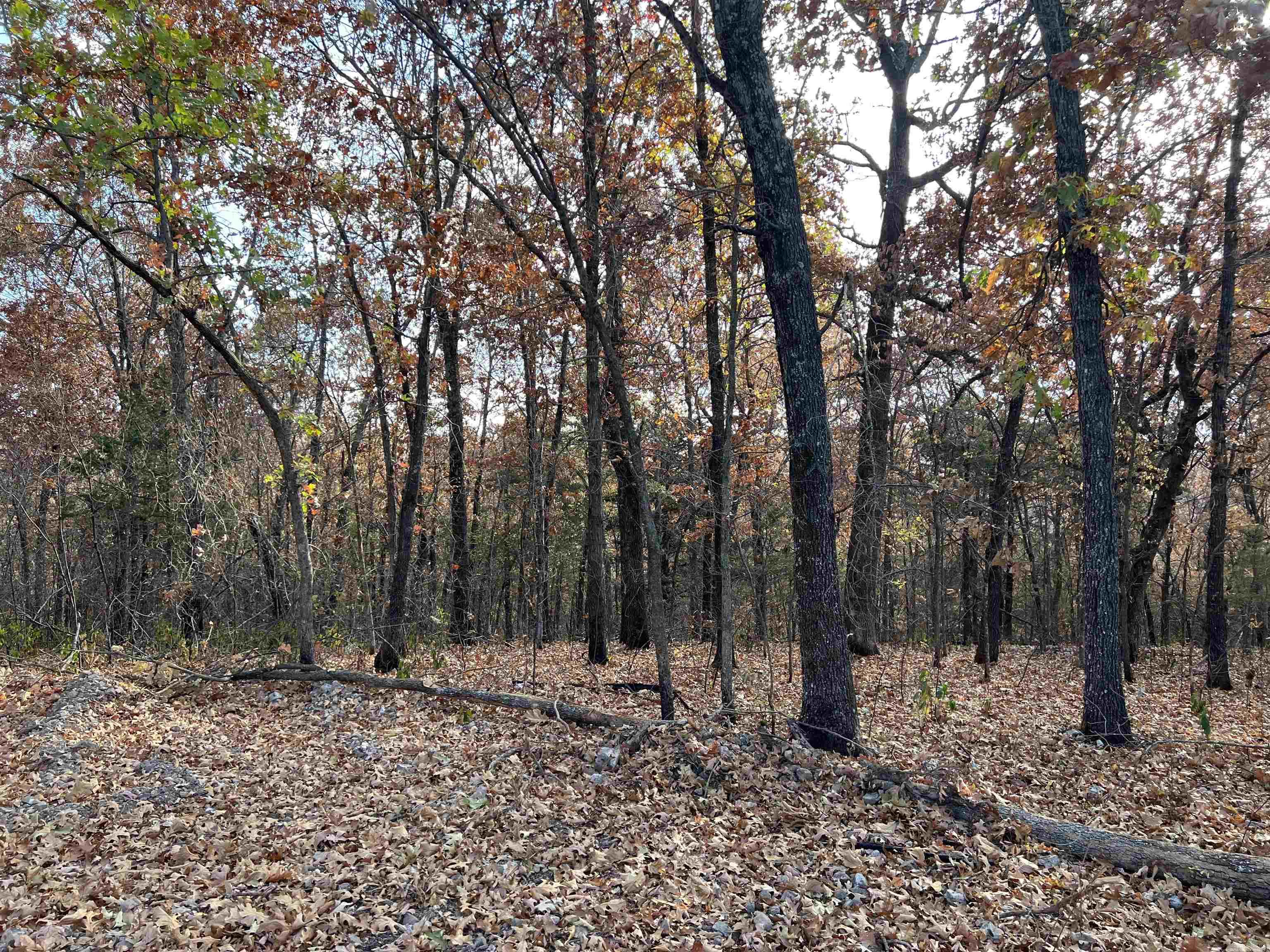 10.14 Ac Jackson Ridge Property Photo 8