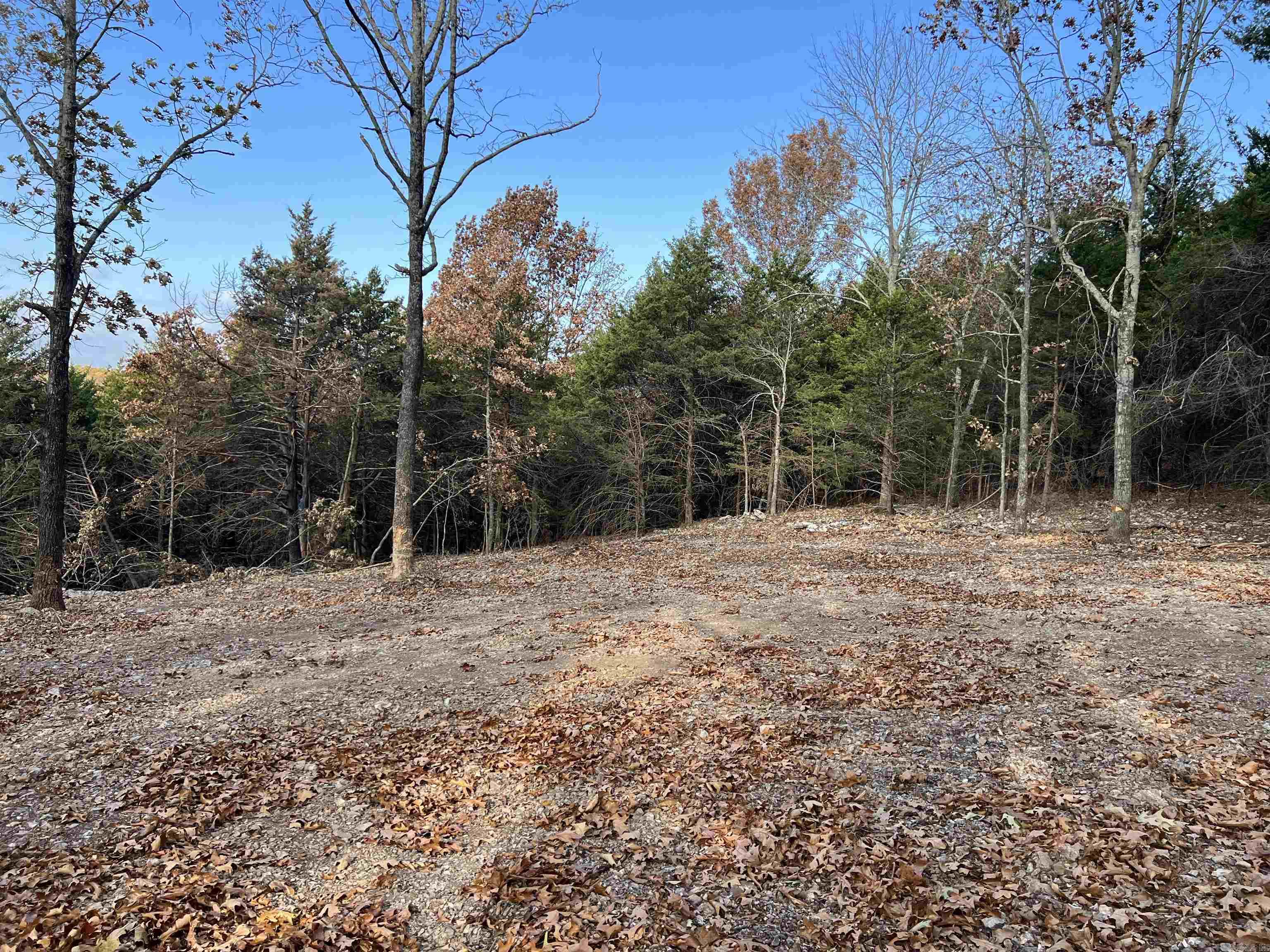 10.14 Ac Jackson Ridge Property Photo 9
