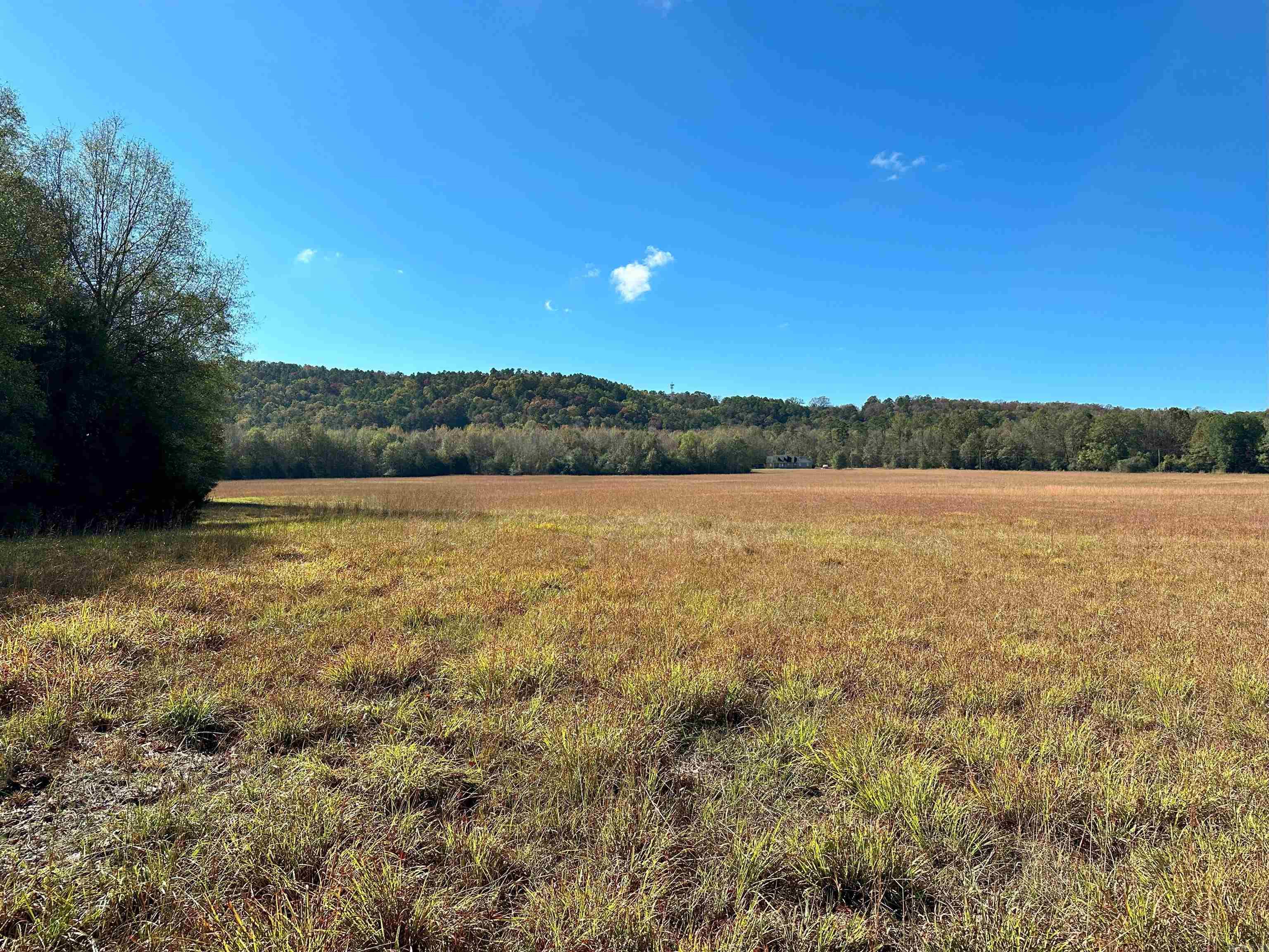 0 Peaceful Valley Road Property Photo 1