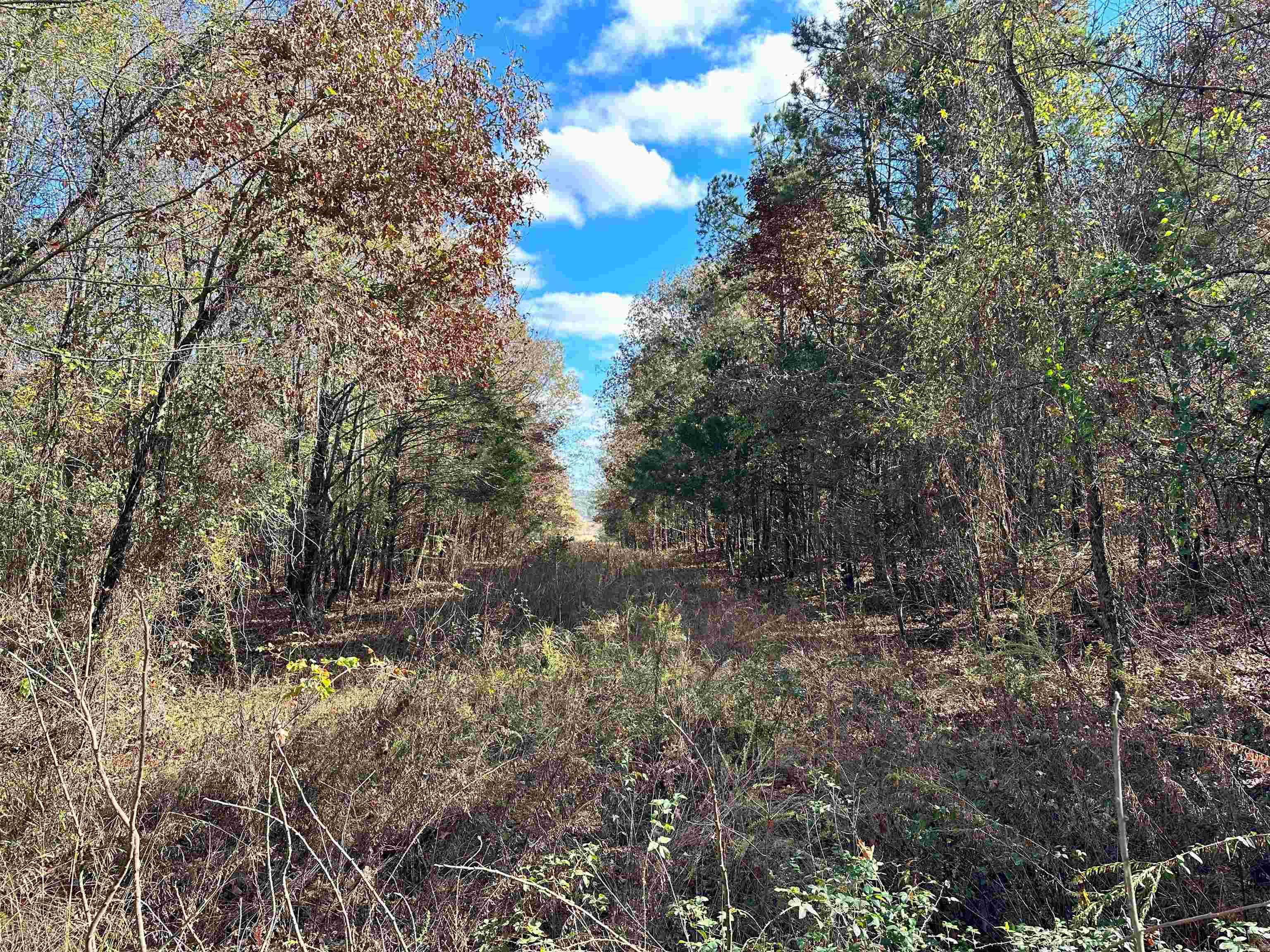 0 Peaceful Valley Road Property Photo 5