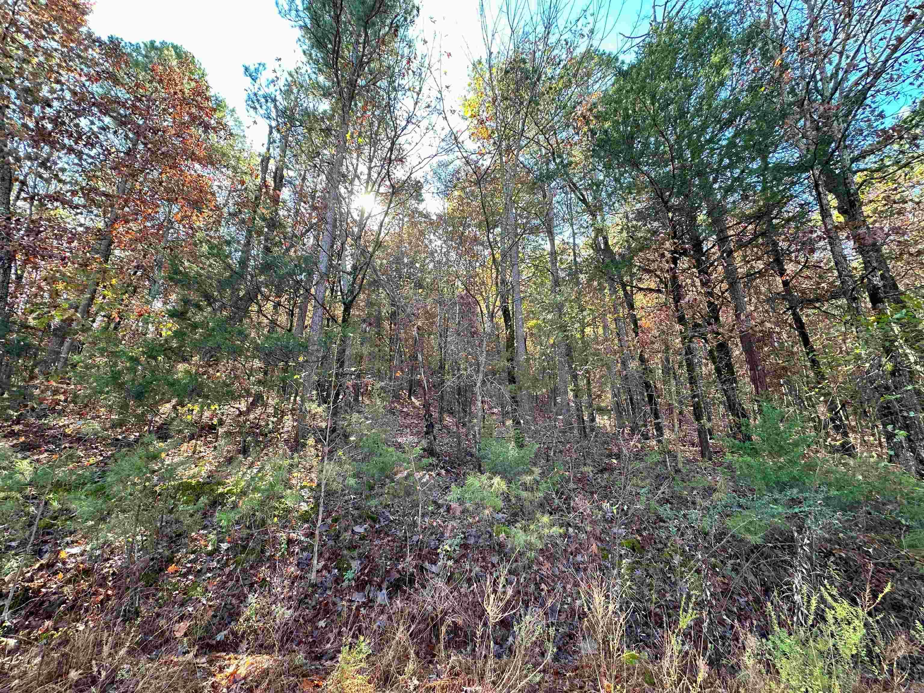 0 Peaceful Valley Road Property Photo 7