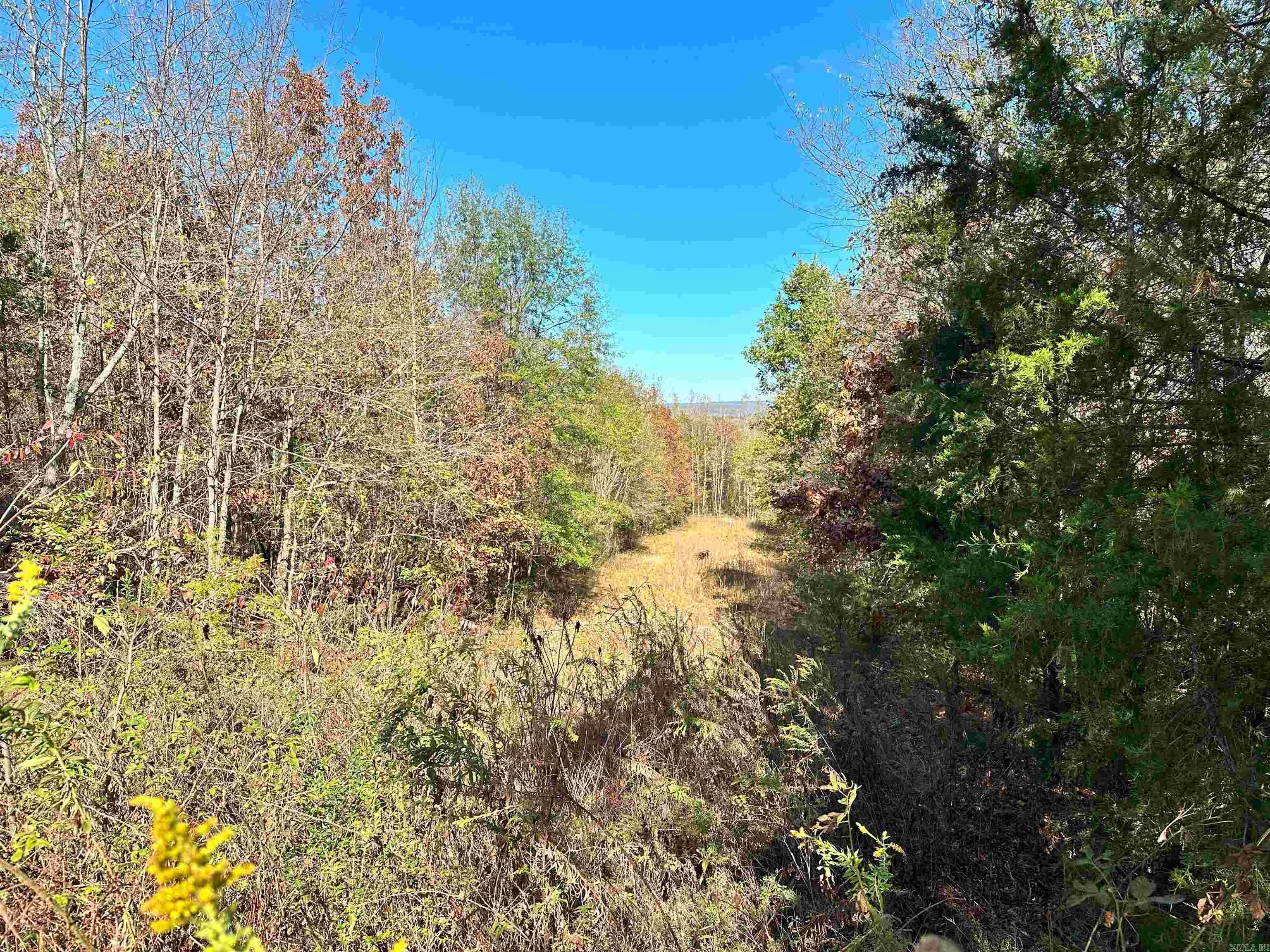 0 Peaceful Valley Road Property Photo 9