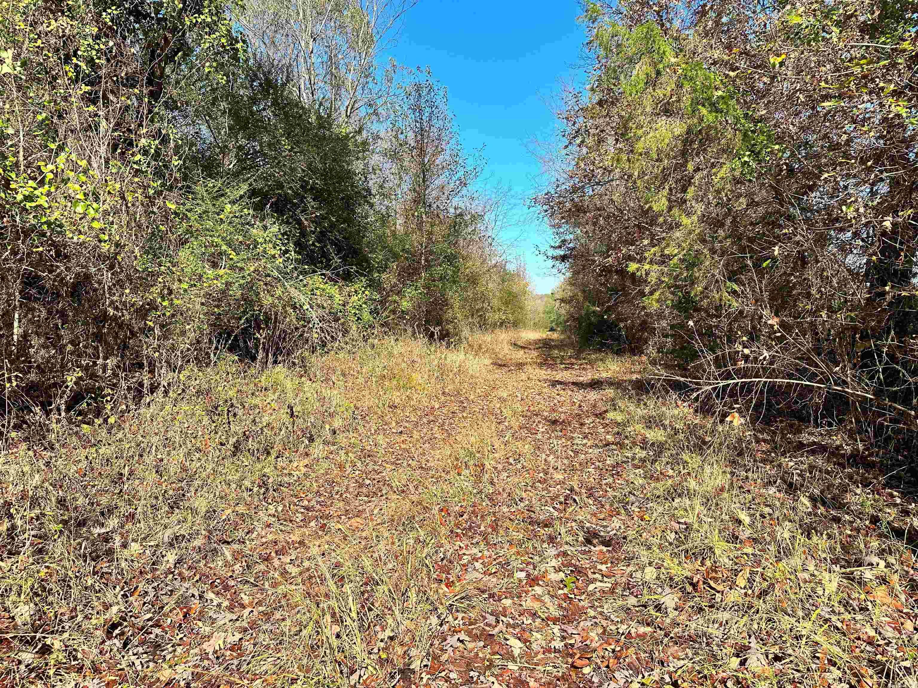 0 Peaceful Valley Road Property Photo 17