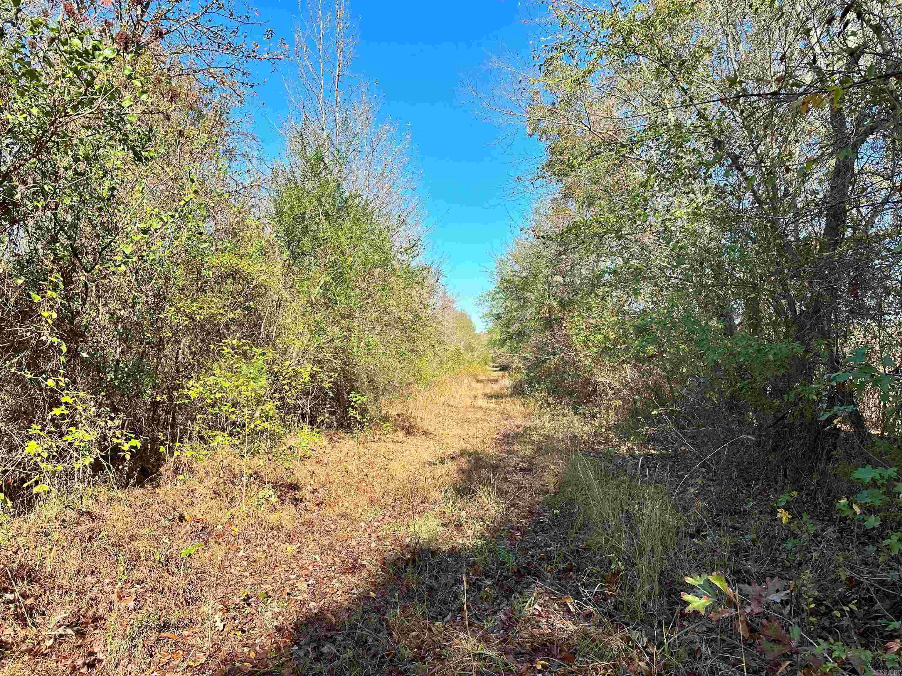 0 Peaceful Valley Road Property Photo 18