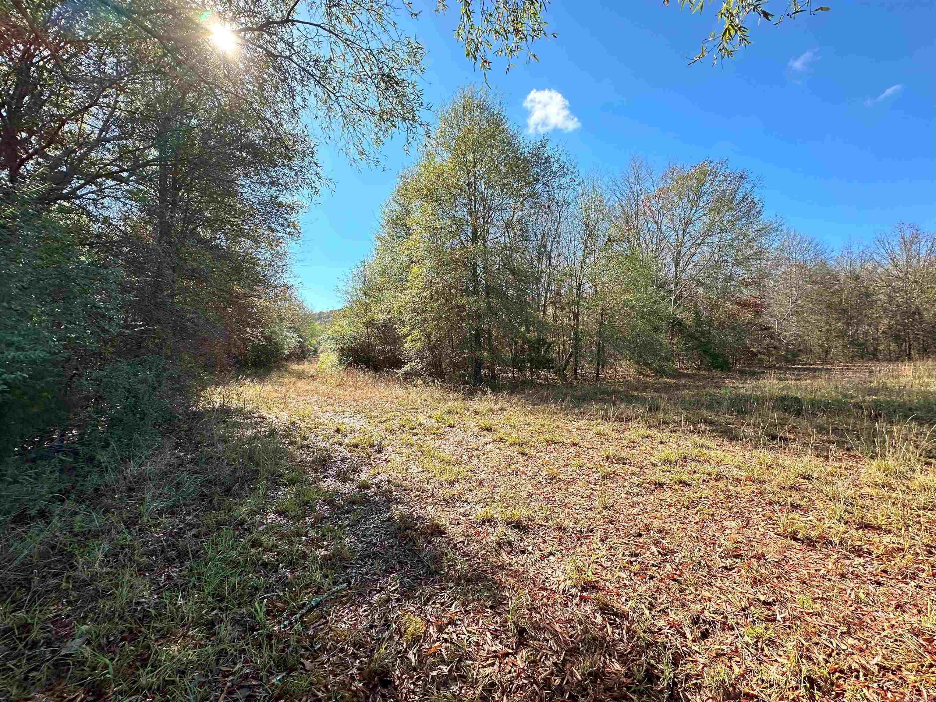 0 Peaceful Valley Road Property Photo 19