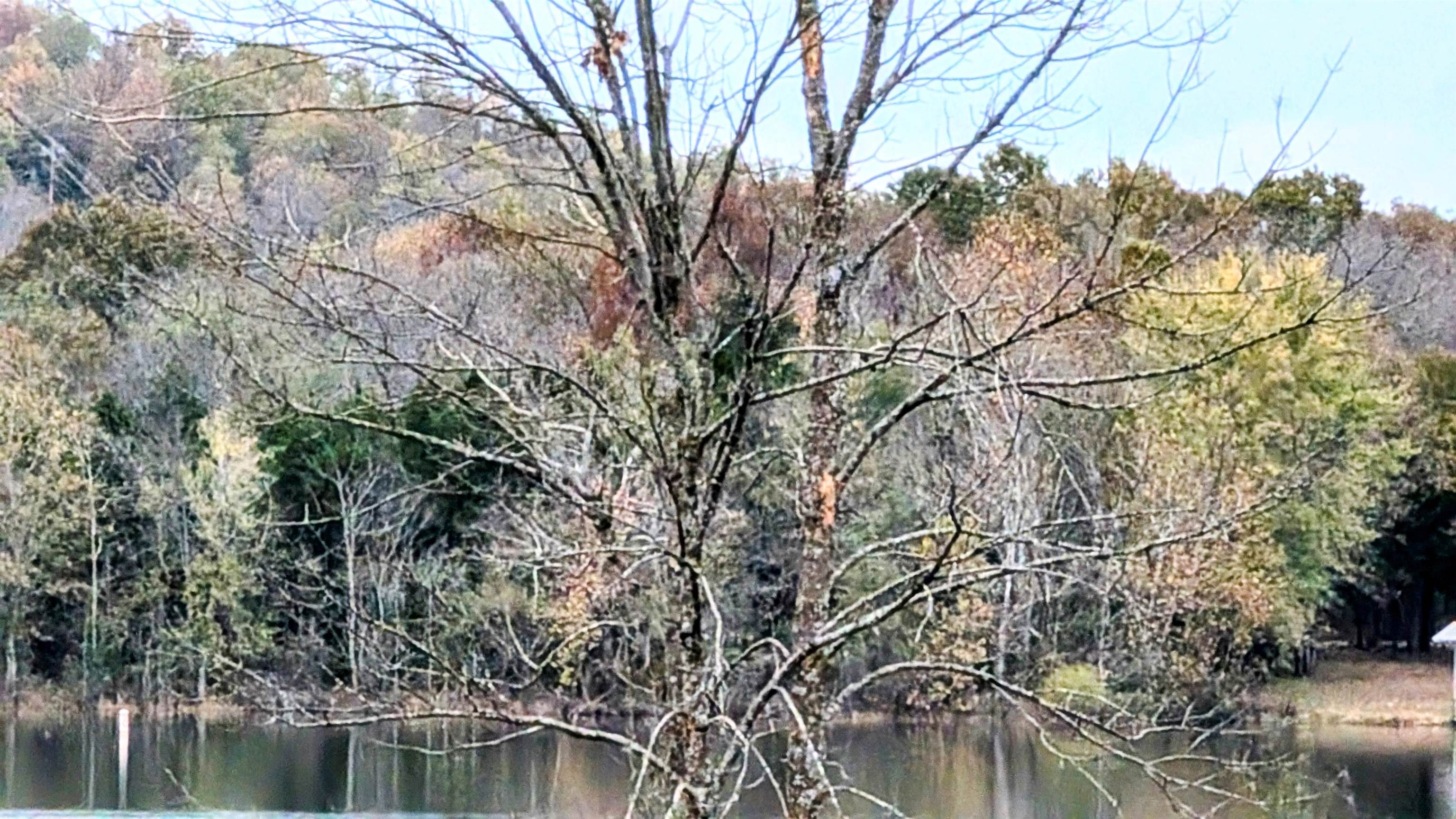 1805 Fox Point Property Photo 2