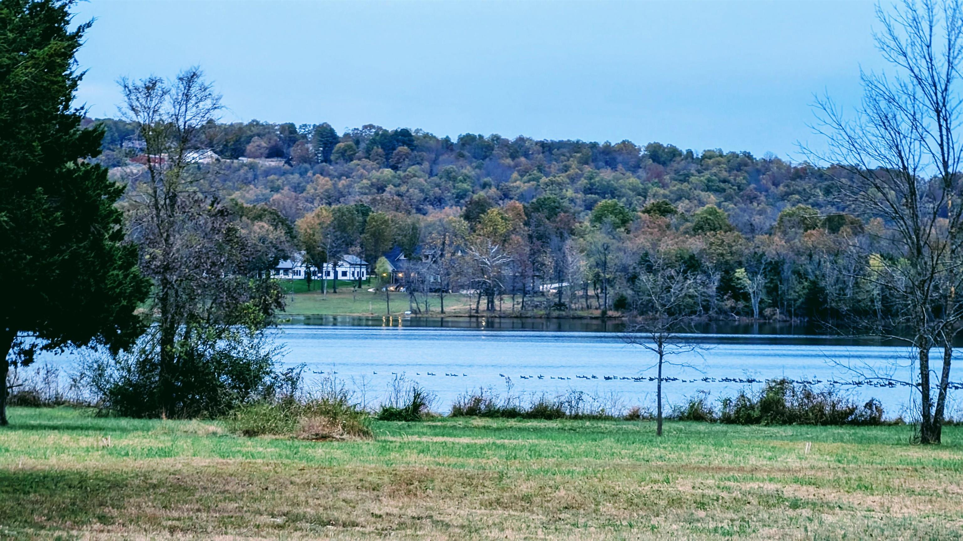 1805 Fox Point Property Photo 6