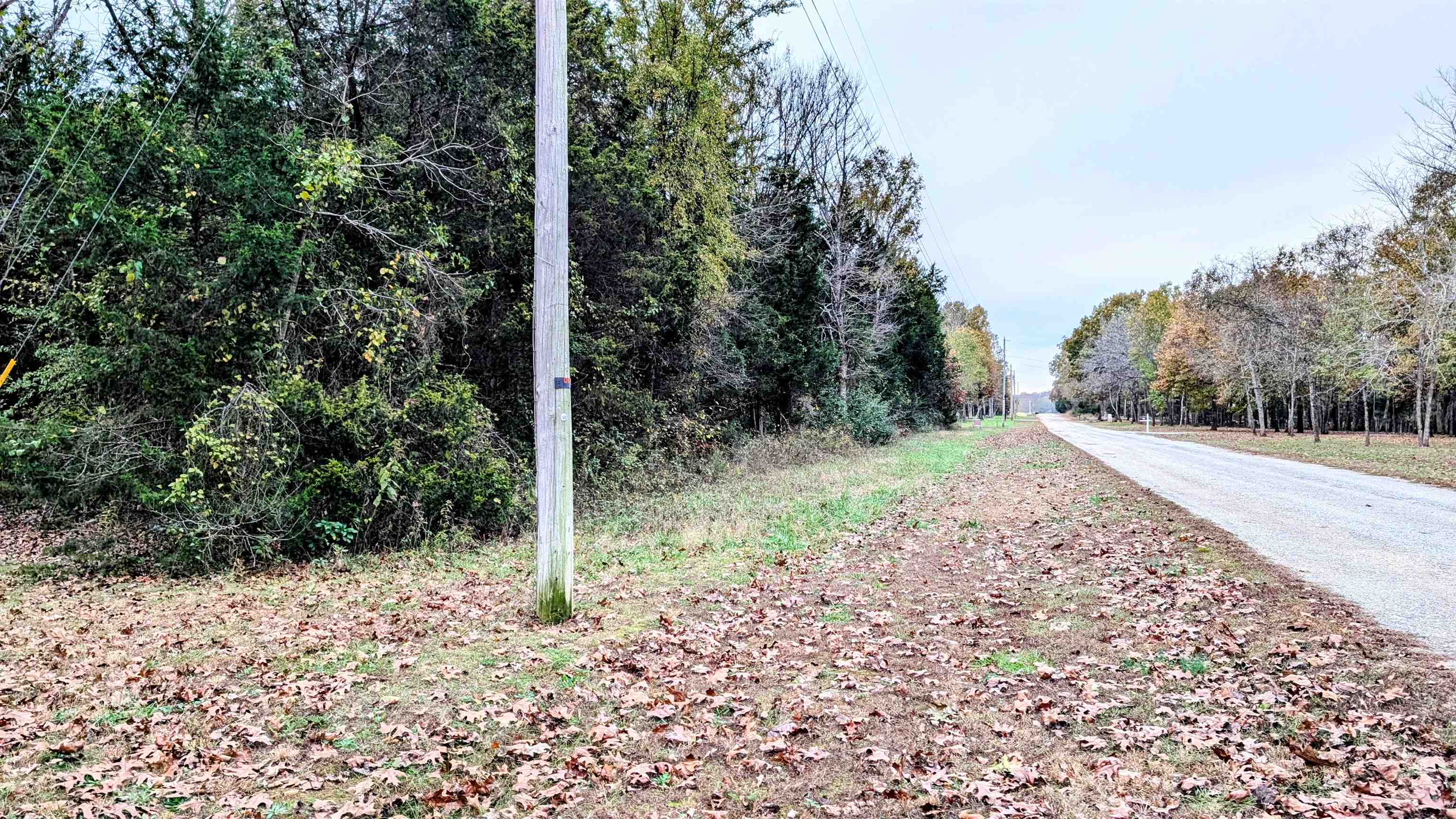 1805 Fox Point Property Photo 8