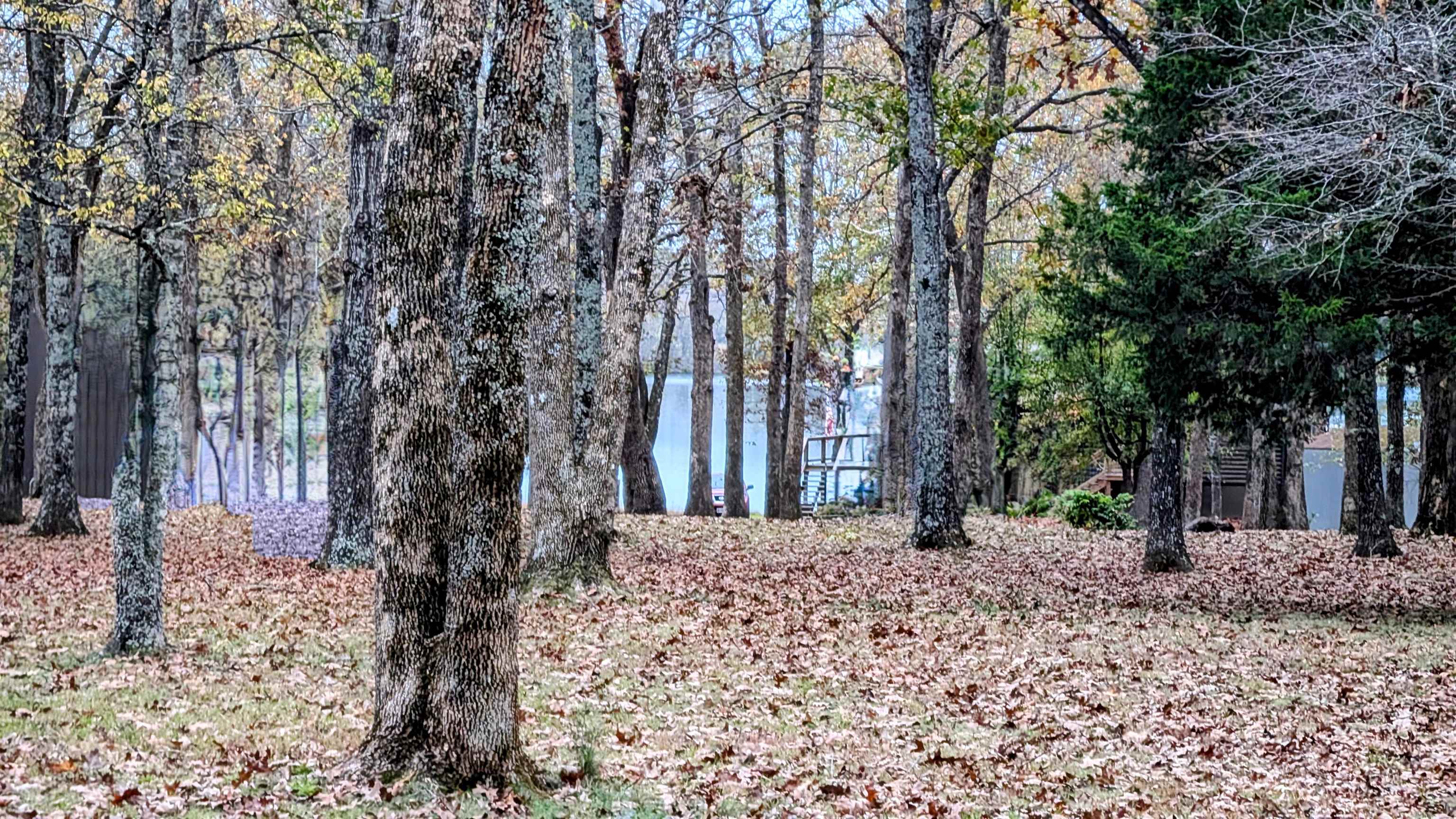 1805 Fox Point Property Photo 10