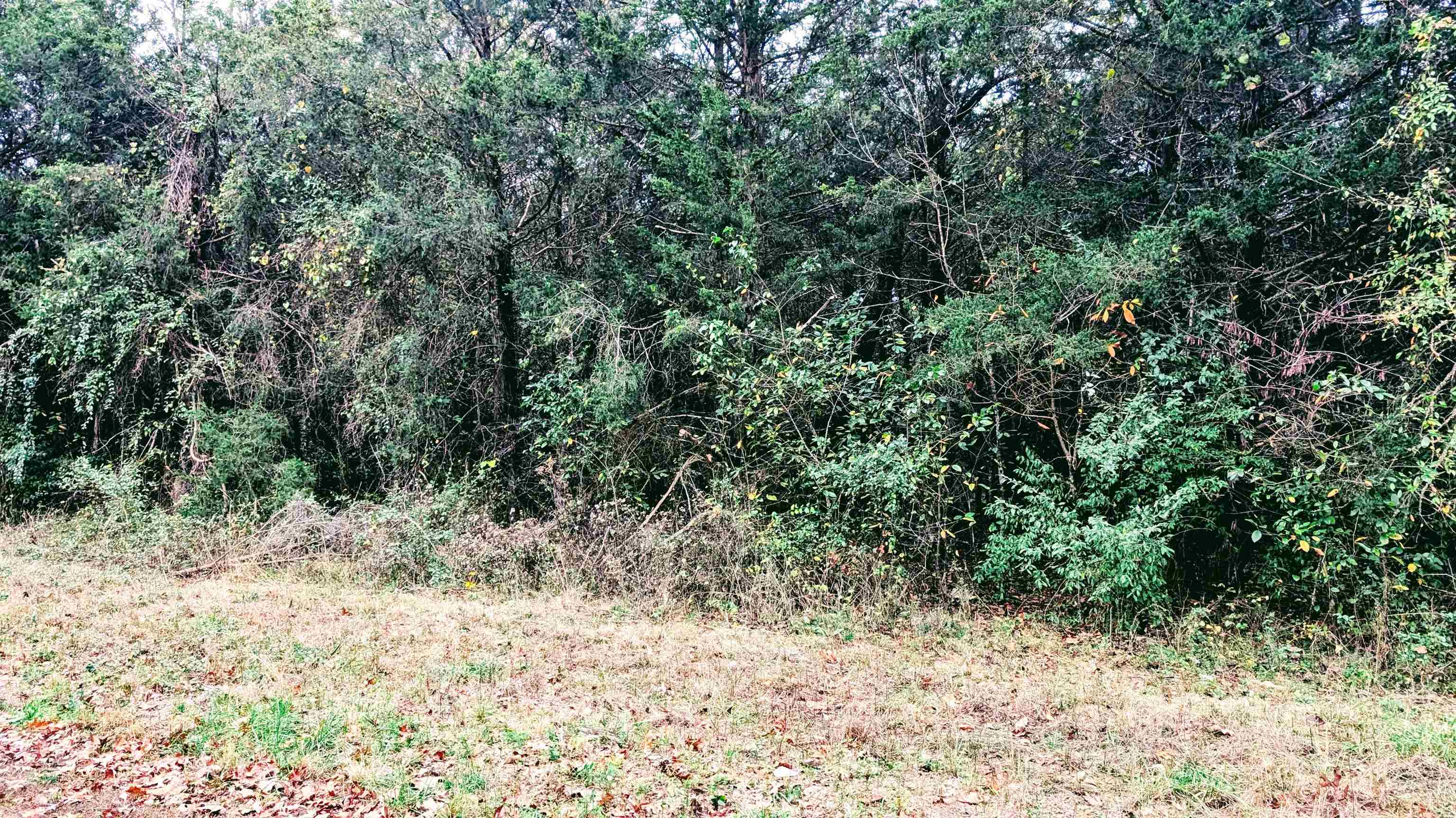 1805 Fox Point Property Photo 12