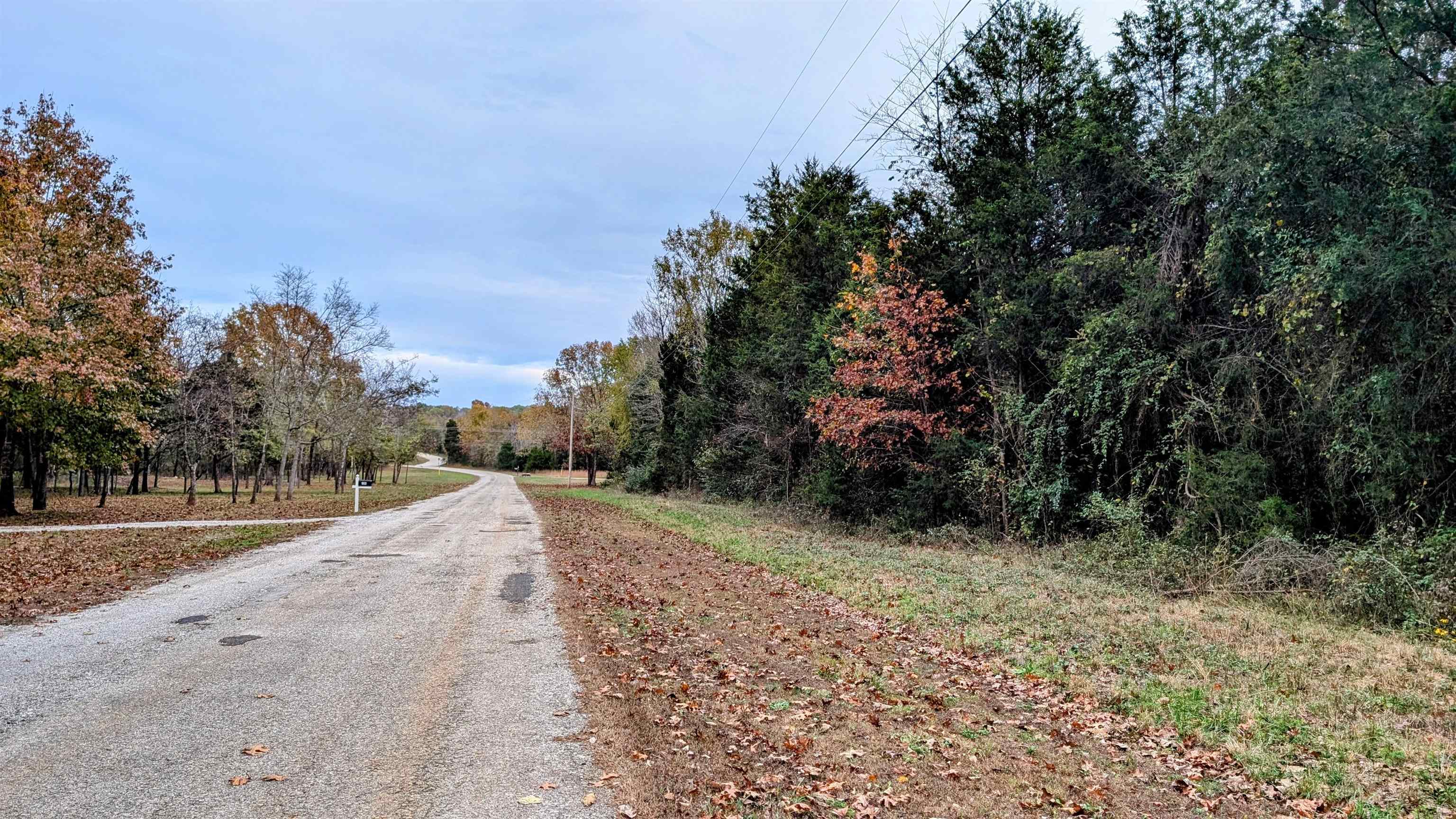 1805 Fox Point Property Photo 13