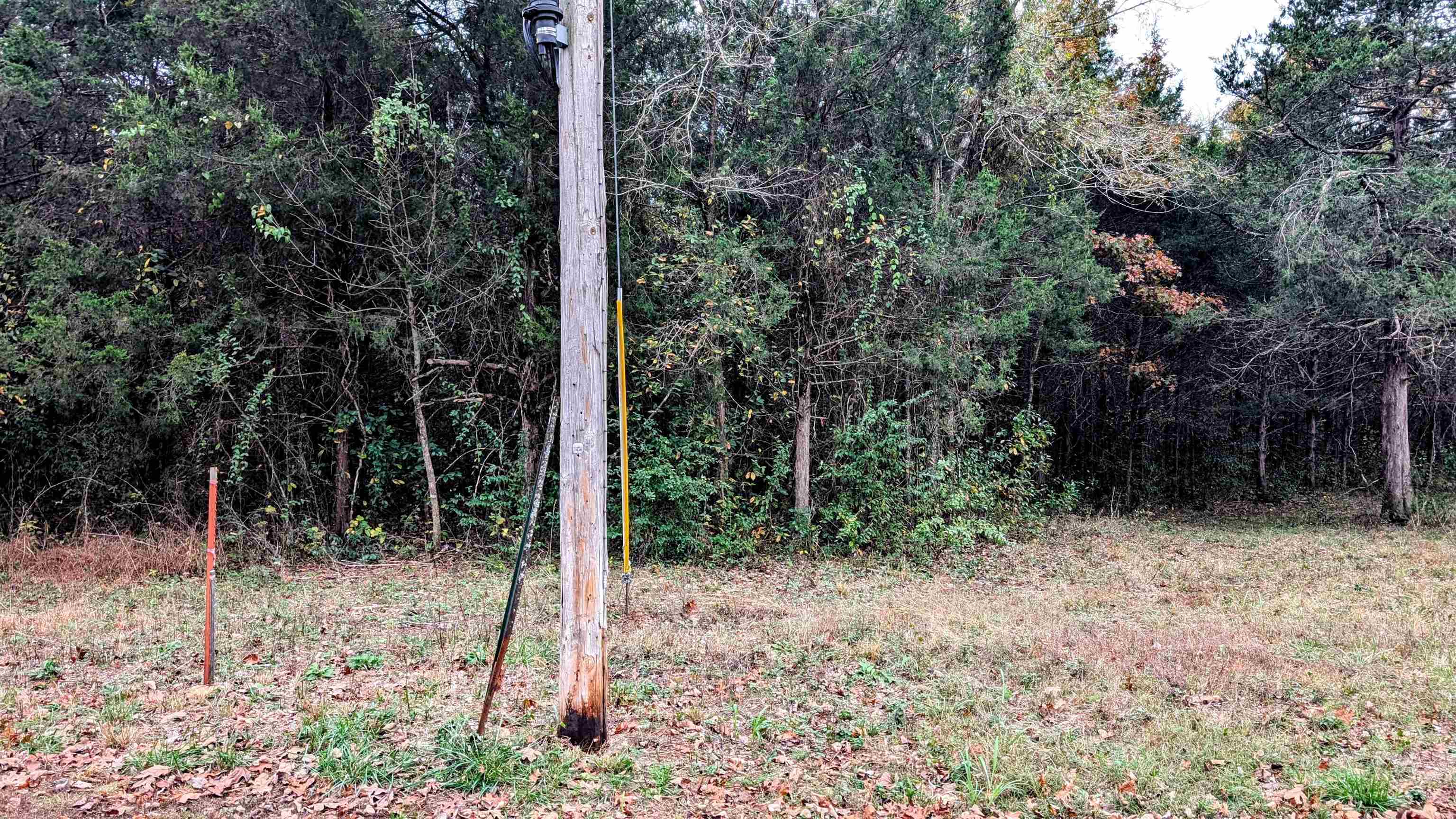1805 Fox Point Property Photo 15