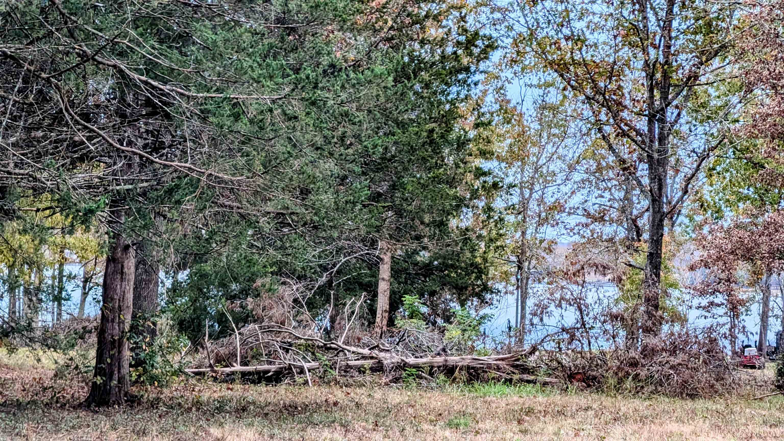 1805 Fox Point Property Photo 16