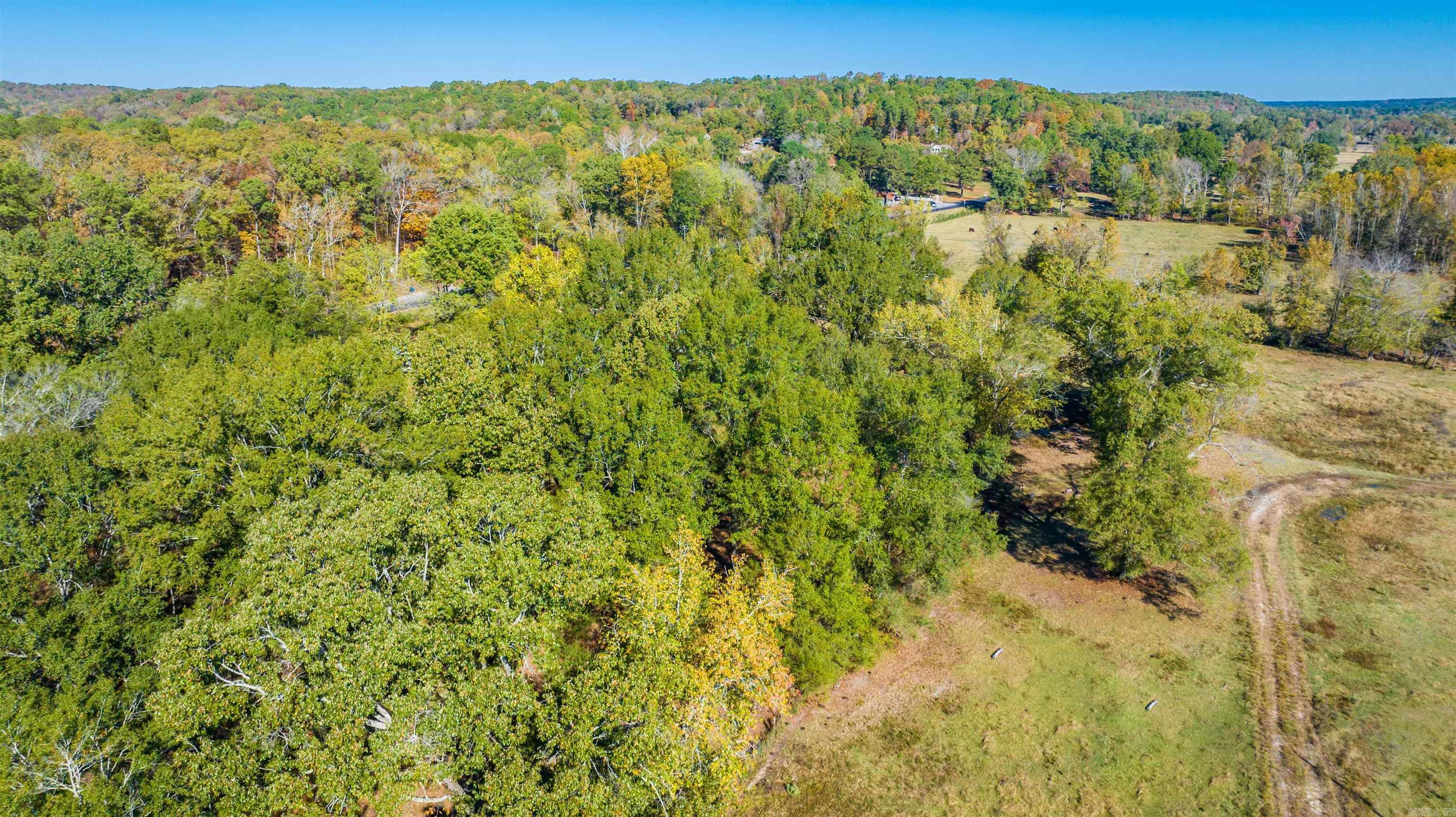 1307 Highway 229 Property Photo 12