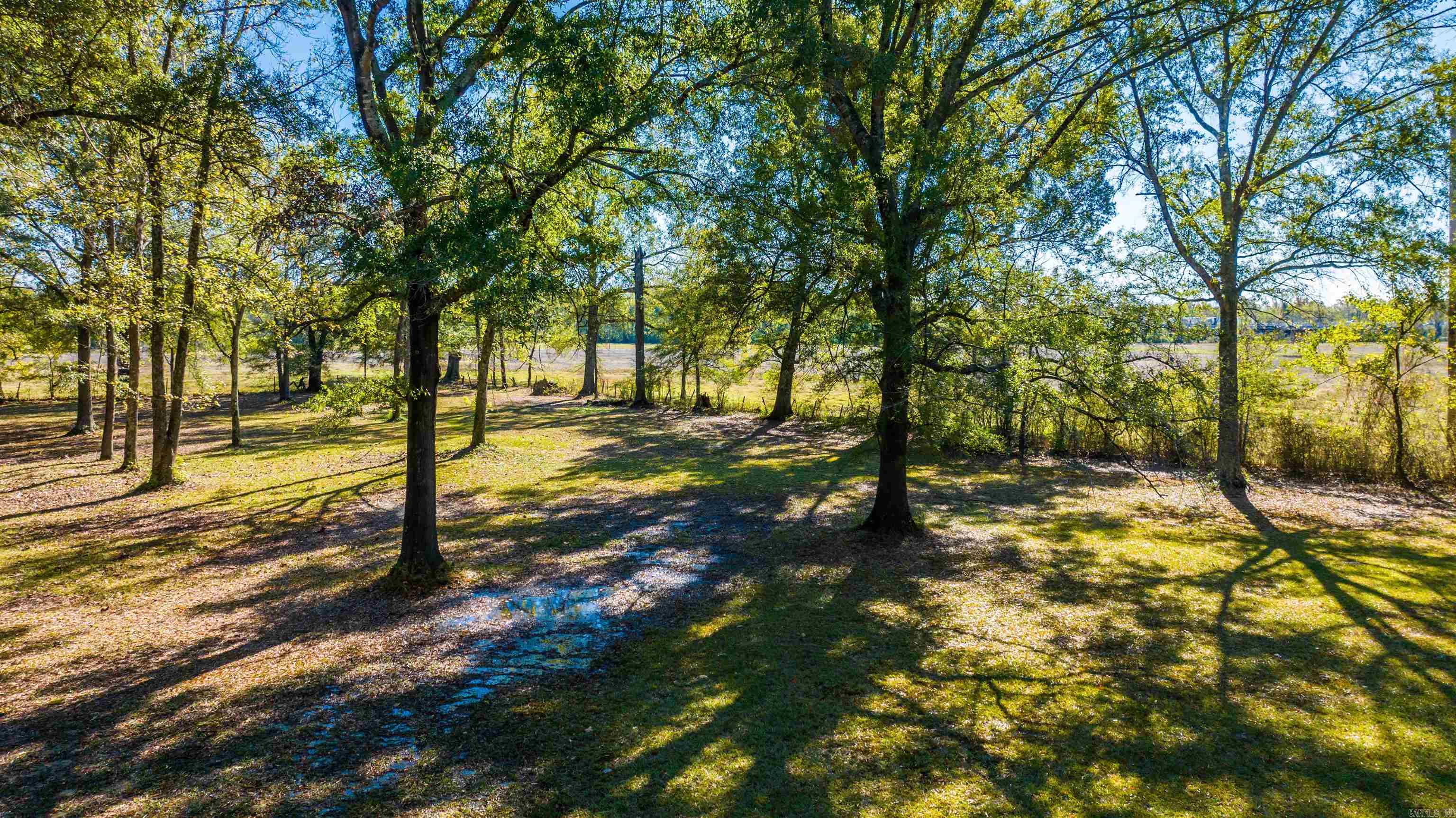 1307 Highway 229 Property Photo 17