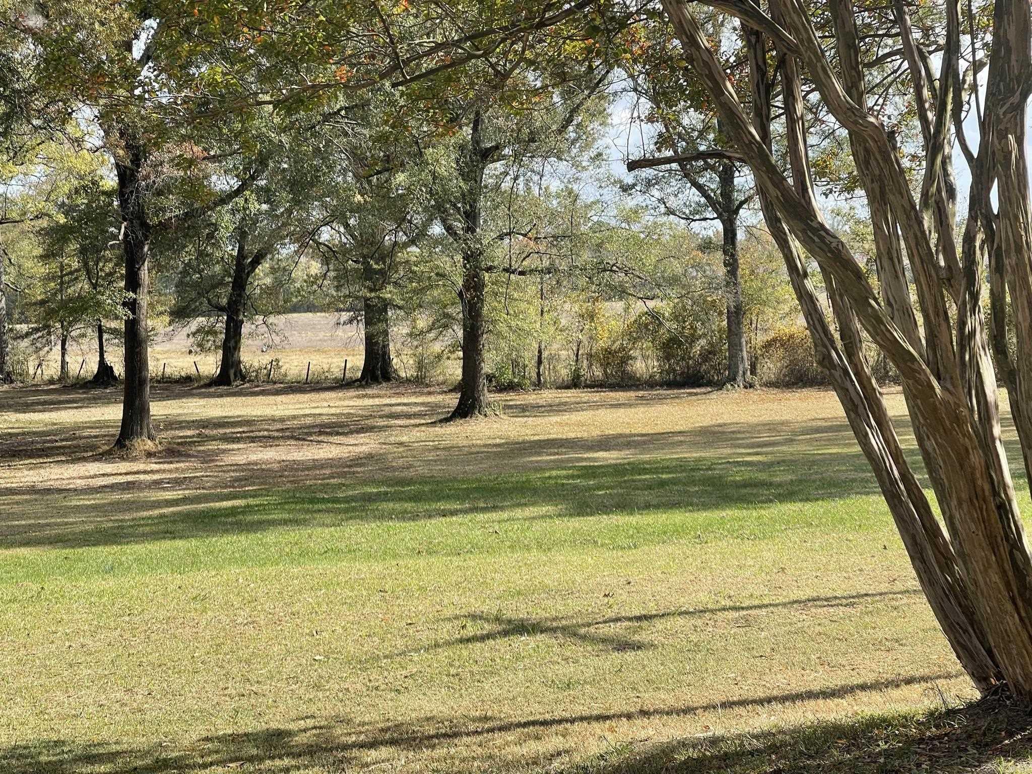 1307 Highway 229 Property Photo 29