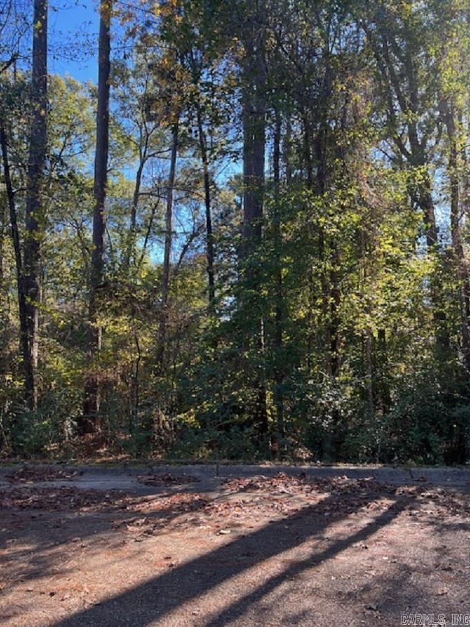 Lot 15 Mockingbird Lane Property Photo 2