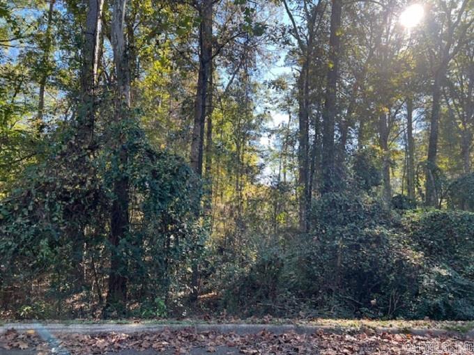 Lot 14 Mockingbird Lane Property Photo 1