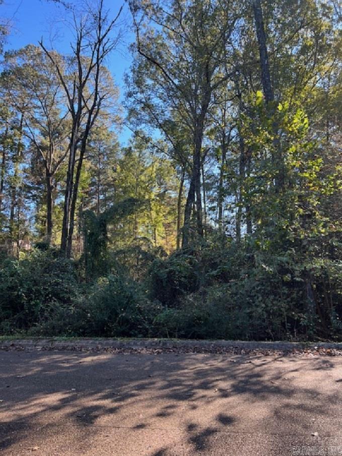 Lot 13 Mockingbird Lane Property Photo 2