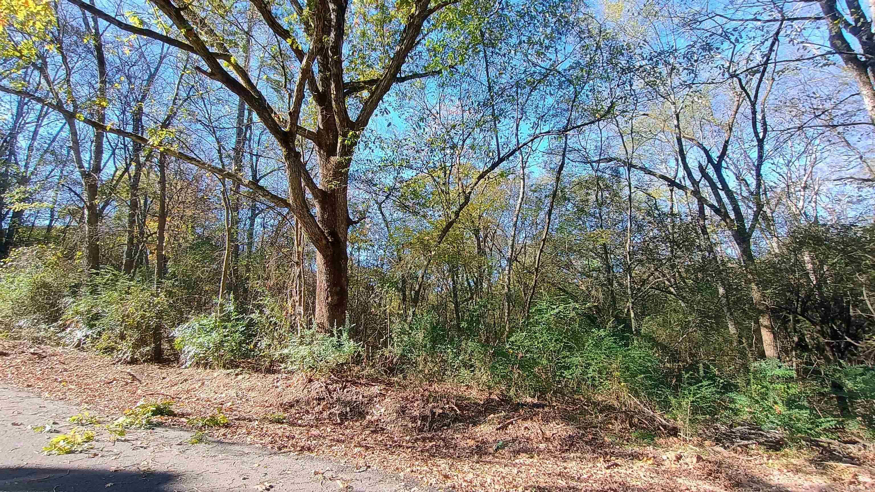 Tbd Elmhurst Property Photo 1