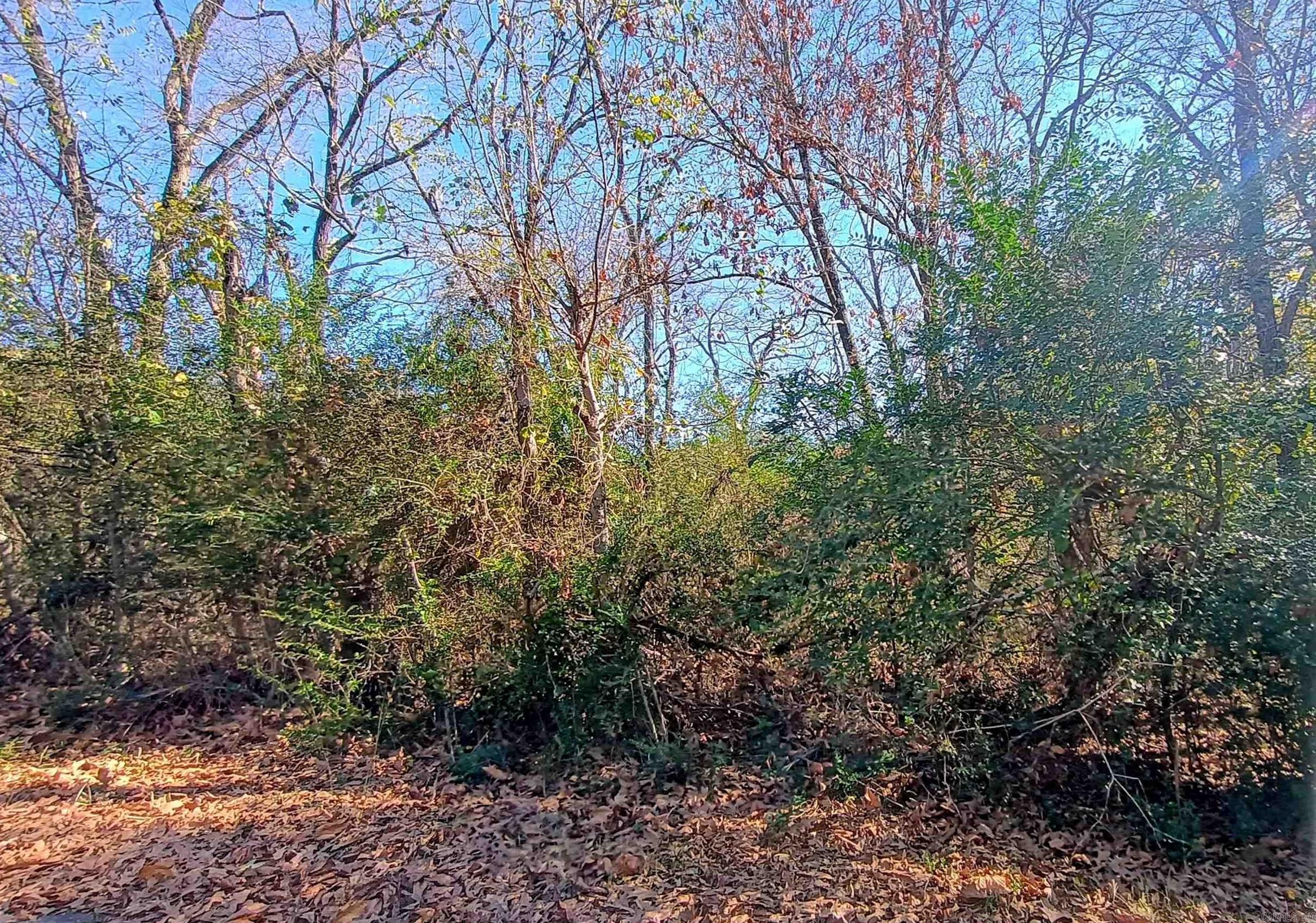 Tbd Westwood Property Photo 1