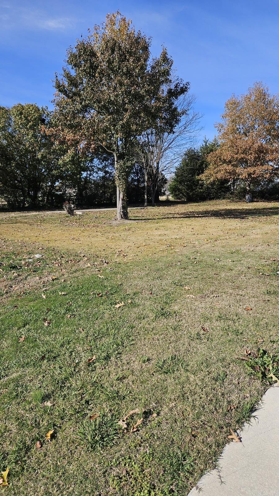 11885 Highway 49 Property Photo 13