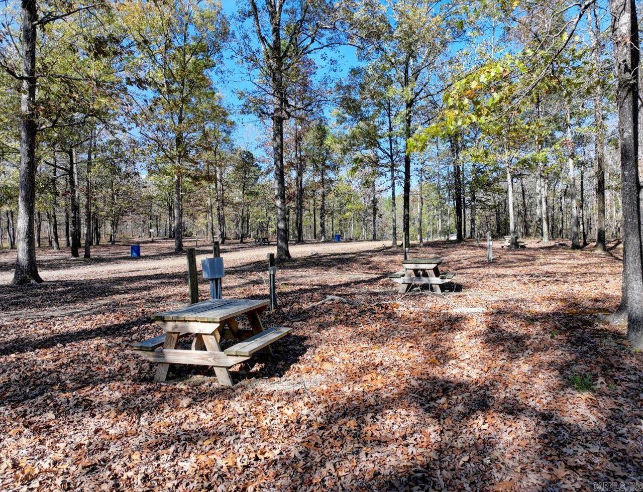 18192 Highway 84 Property Photo 25