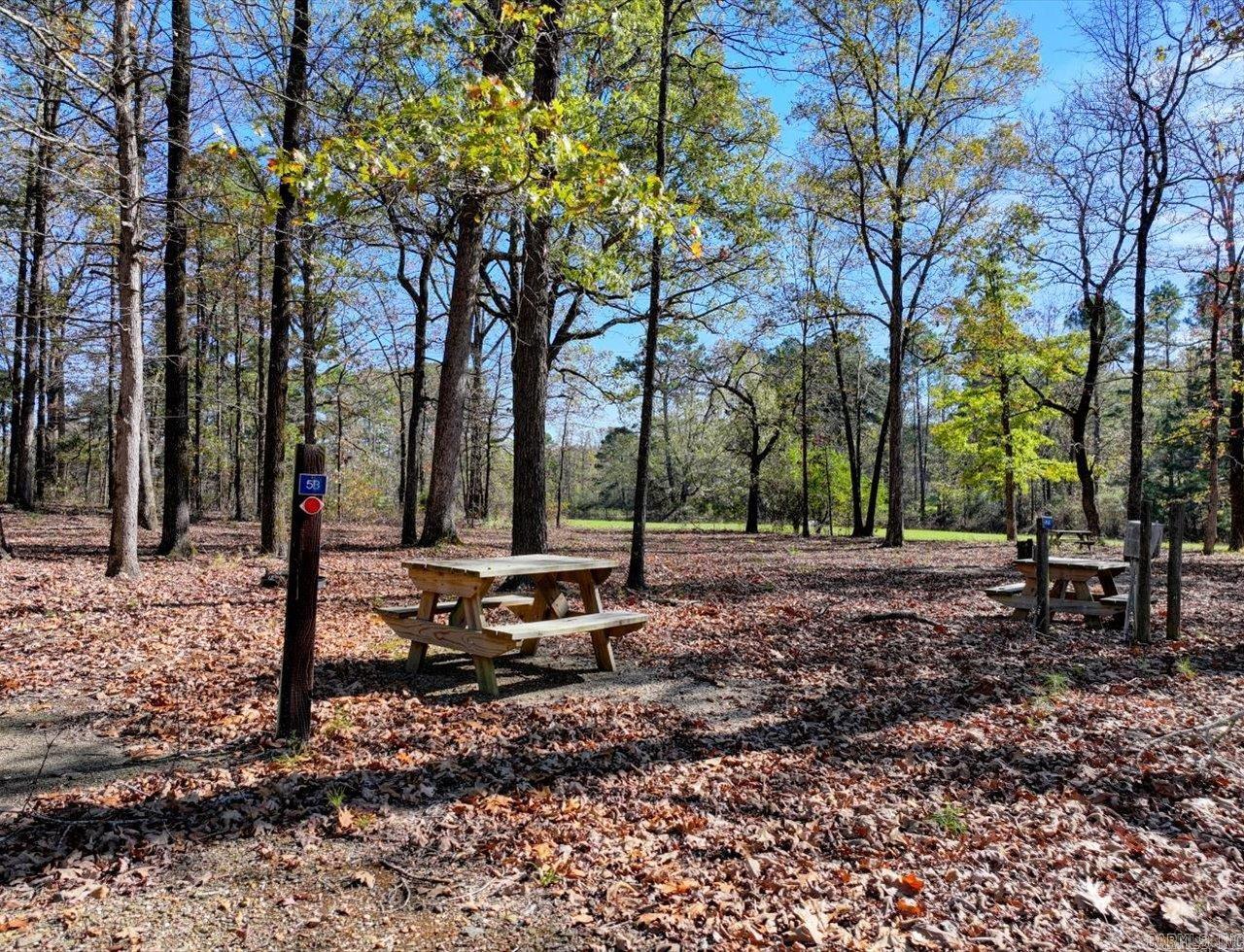 18192 Highway 84 Property Photo 35