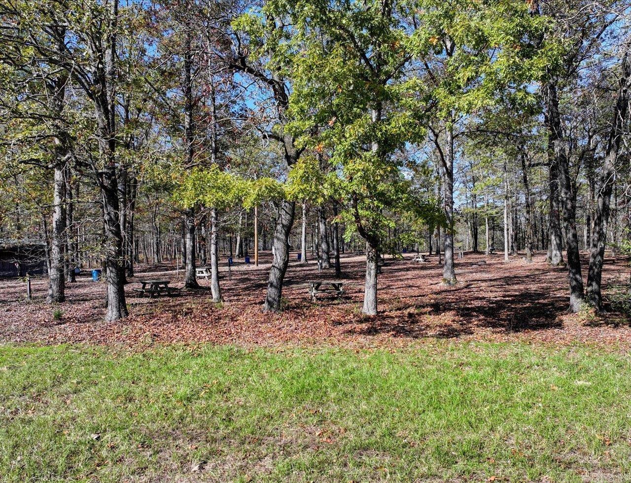 18192 Highway 84 Property Photo 37