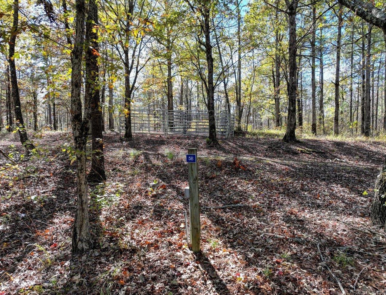 18192 Highway 84 Property Photo 41