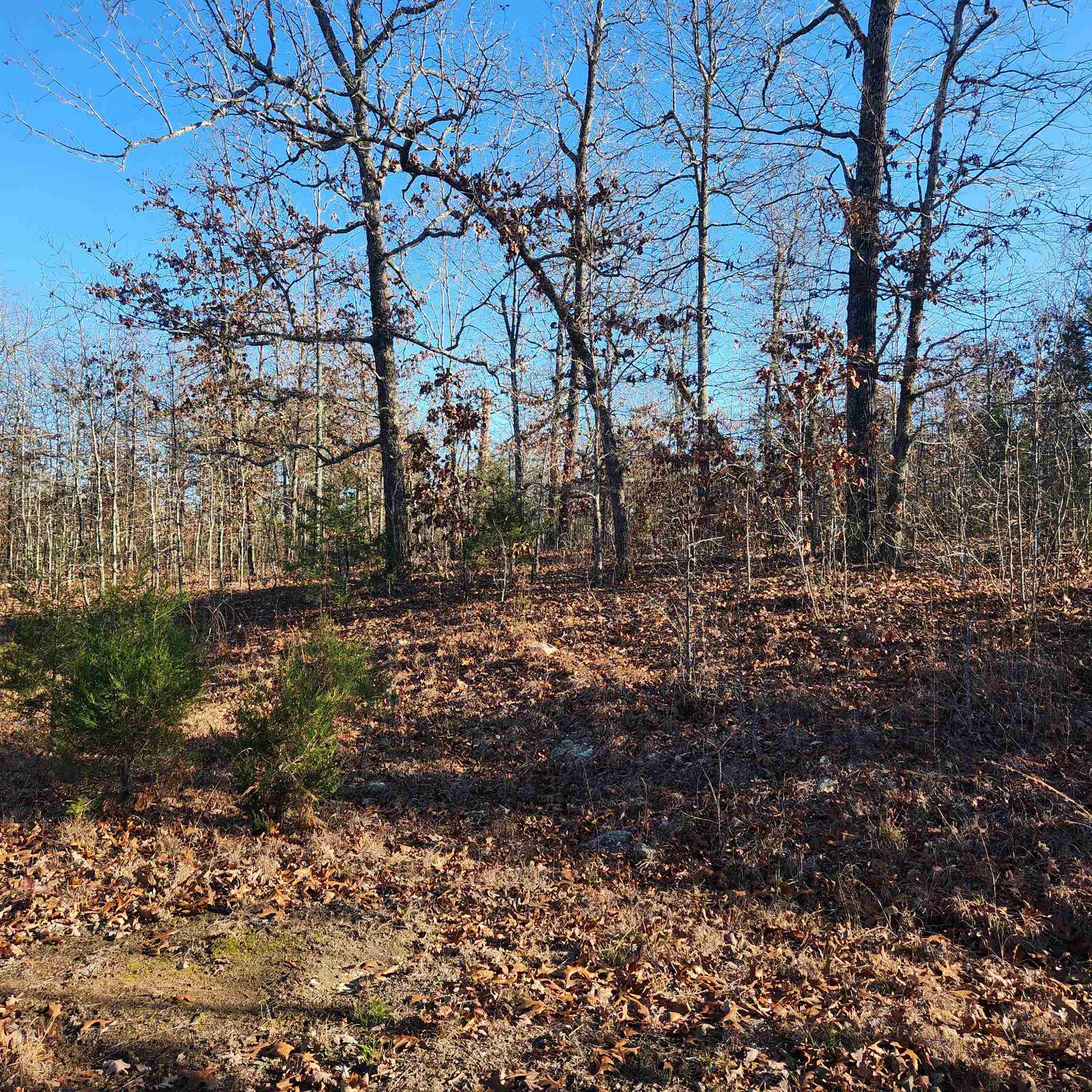 808 W Forest Hills Circle Property Photo 2