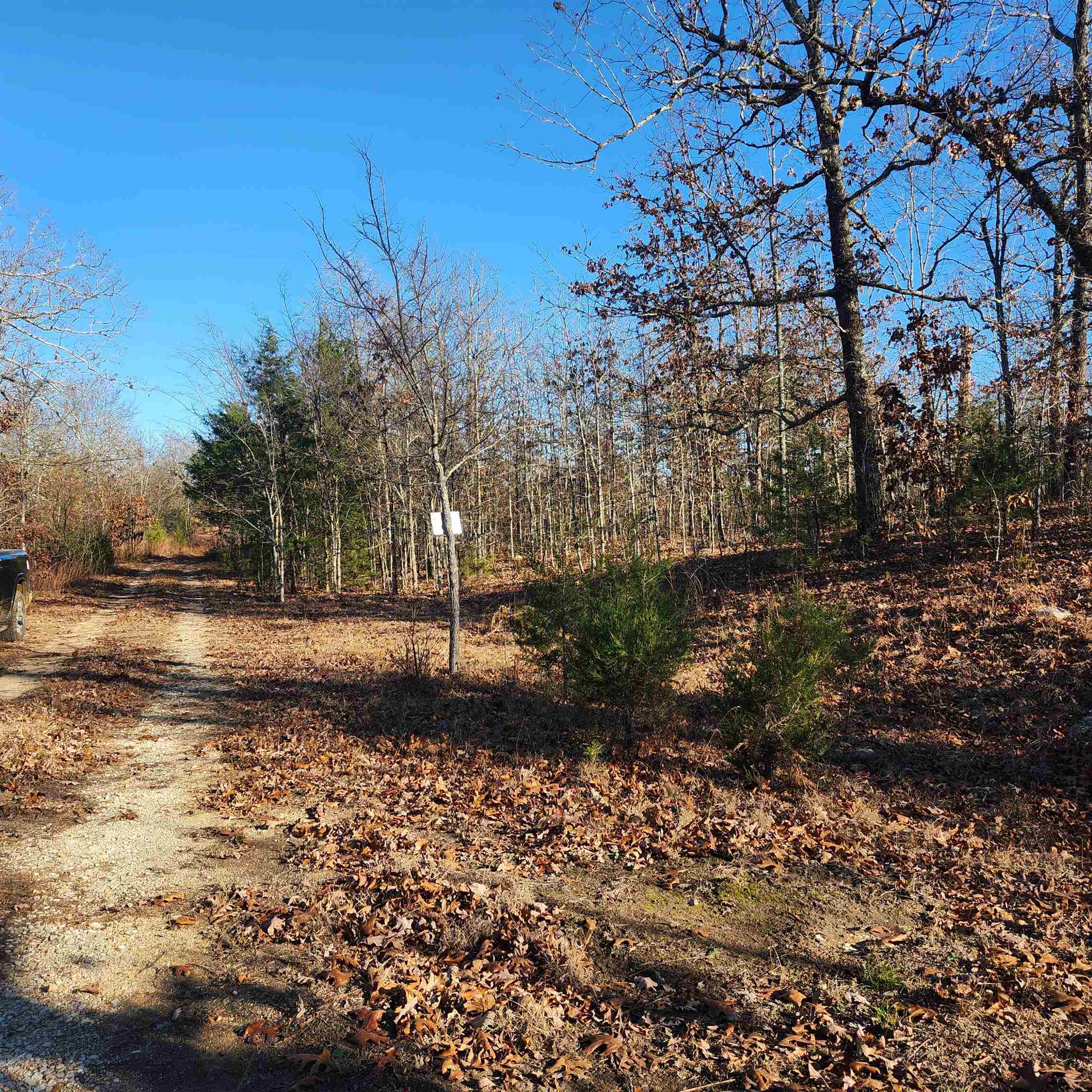 808 W Forest Hills Circle Property Photo 3