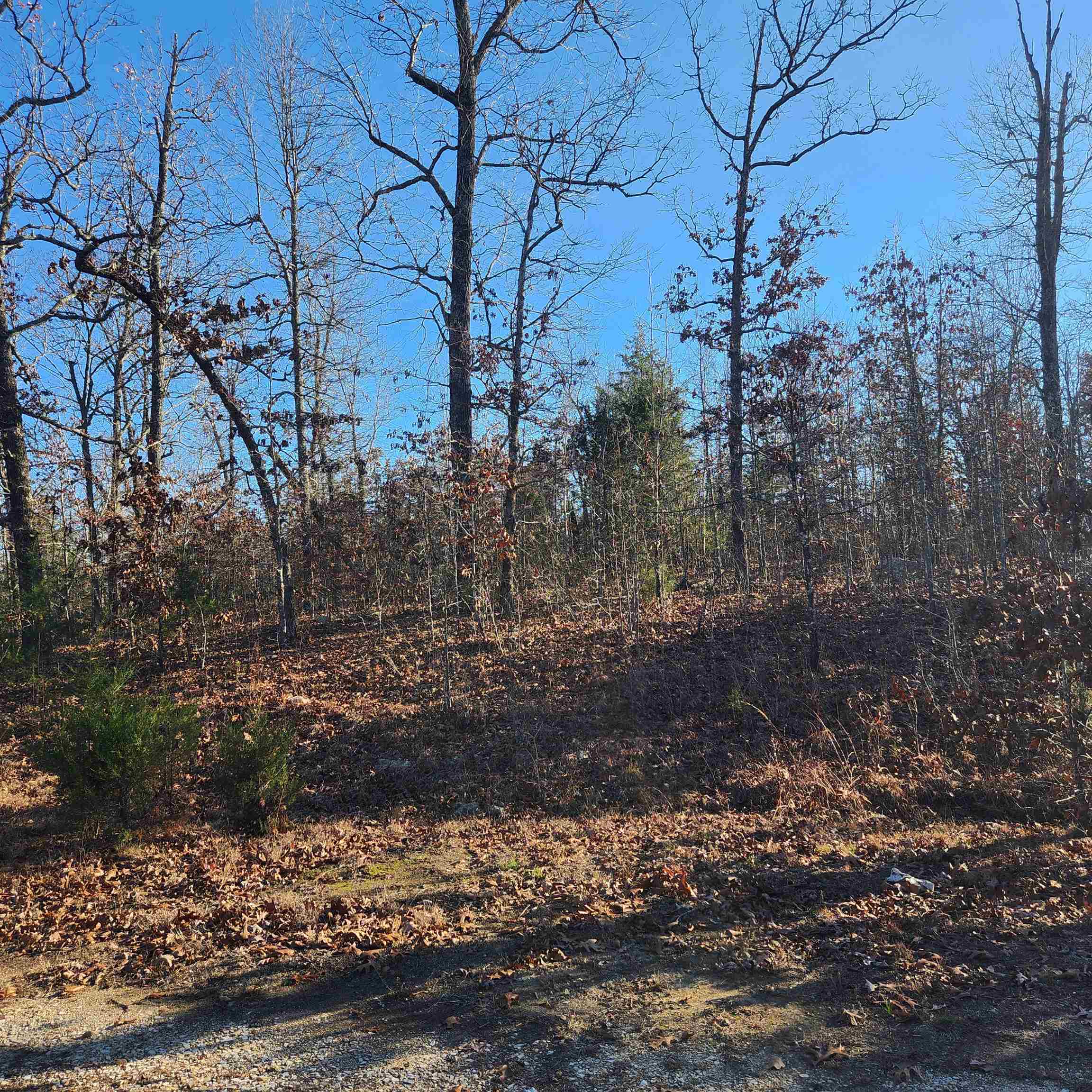 808 W Forest Hills Circle Property Photo 7