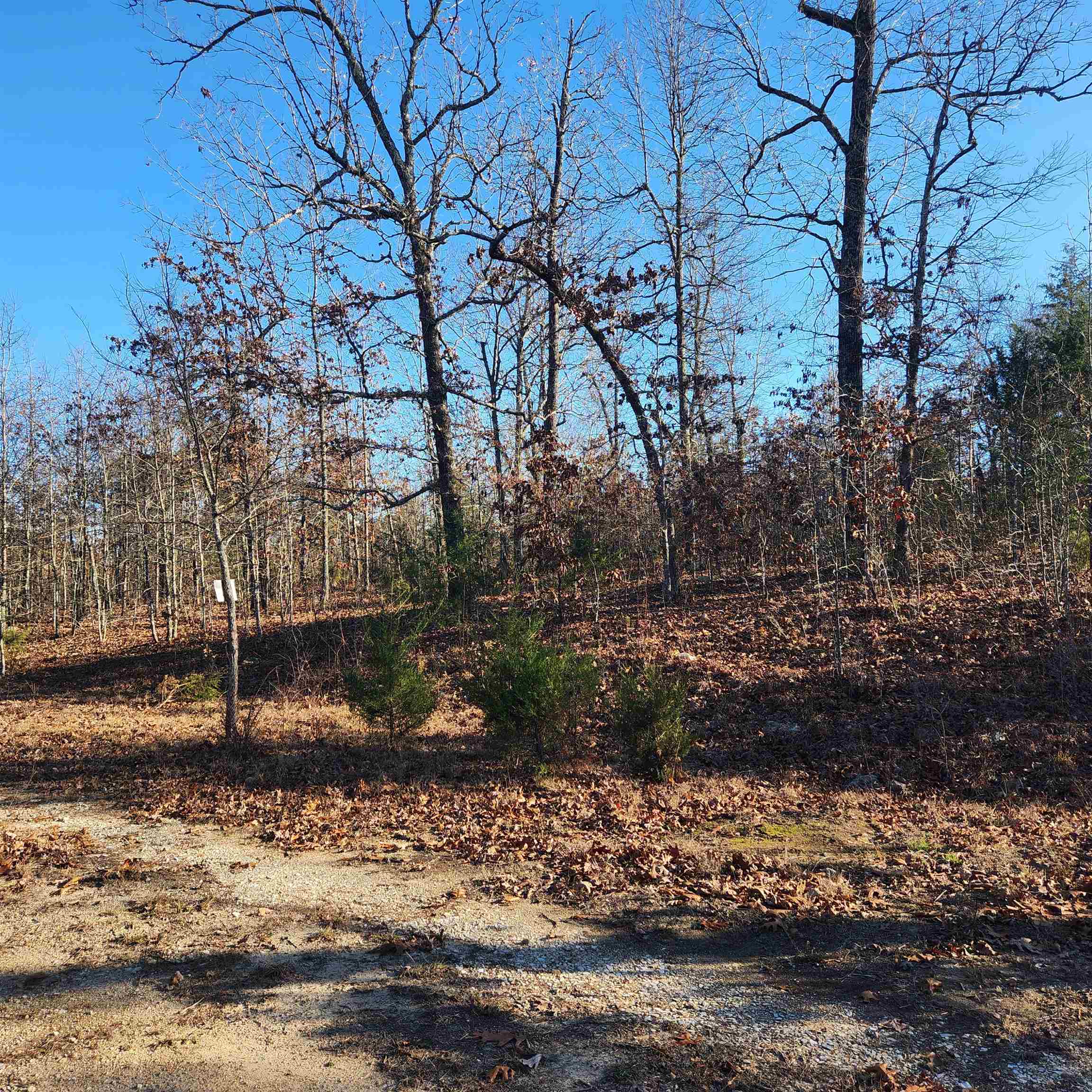 808 W Forest Hills Circle Property Photo 8