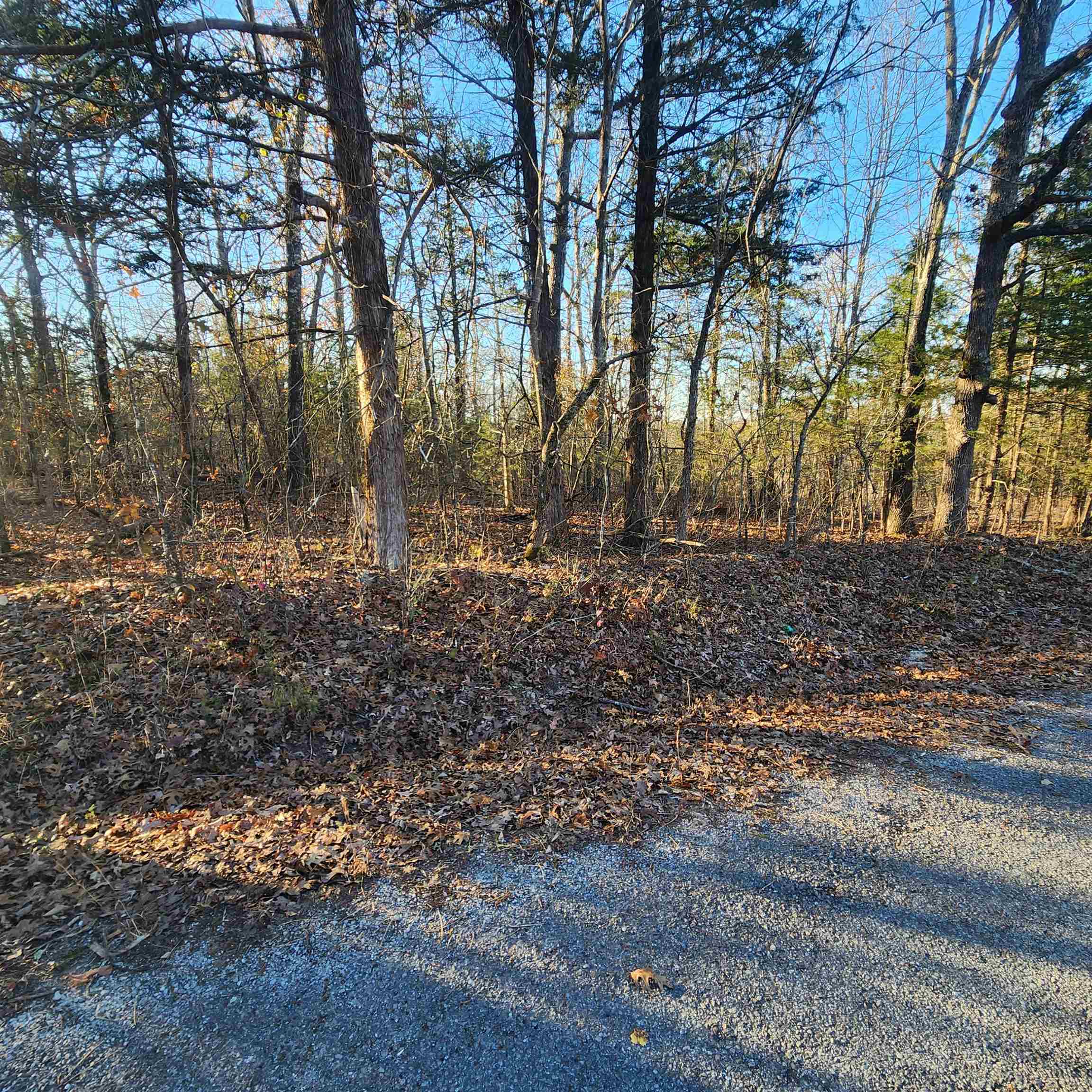 1505 Riverview Drive Property Photo 1