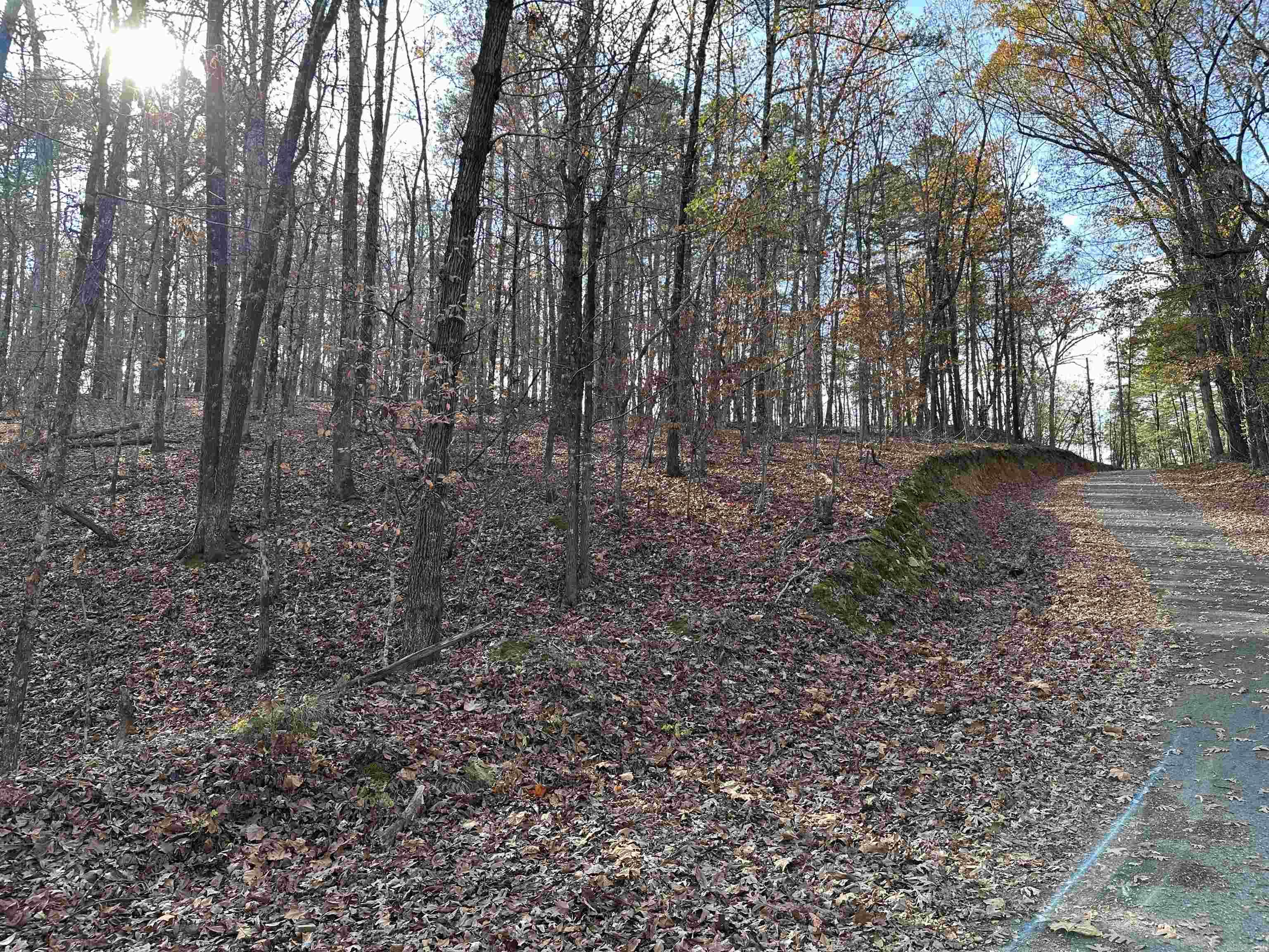 Lot 9 Wafer Circle Property Photo 1