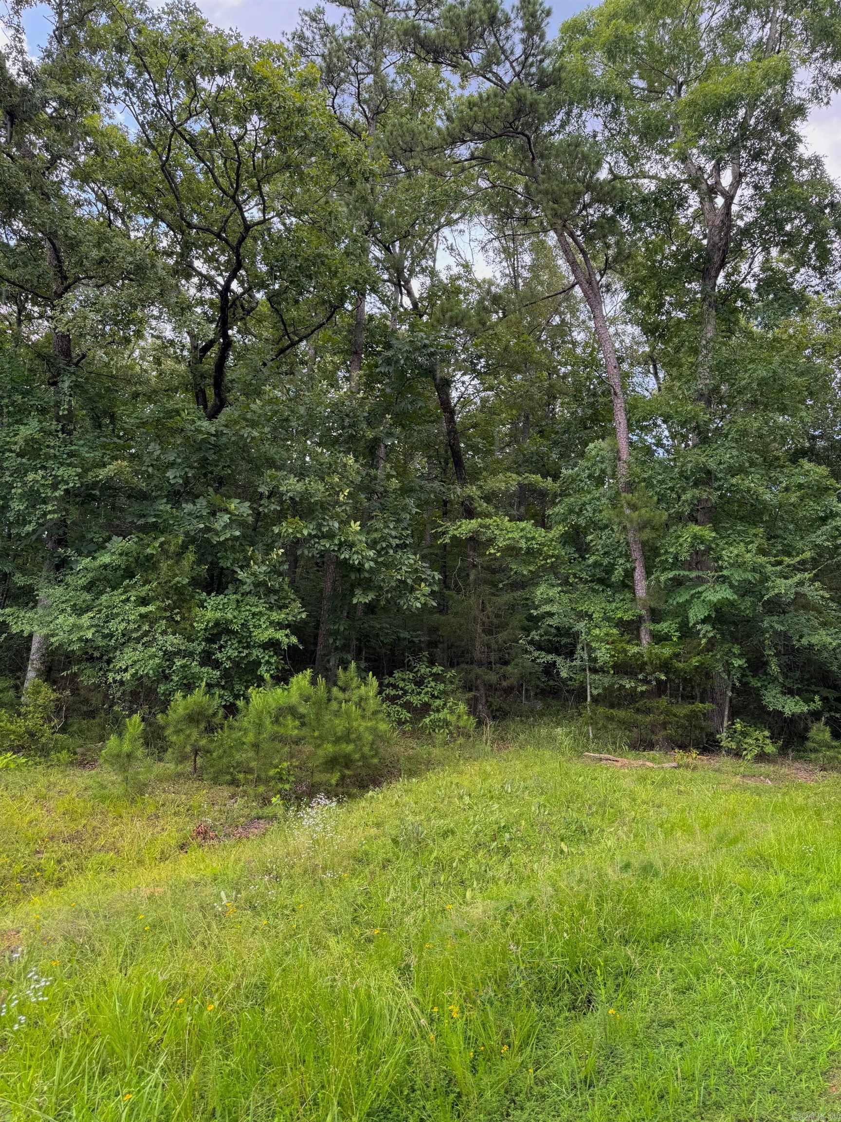 Lot 36 Primrose Creek Property Photo 1