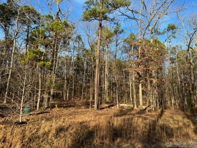 Lot 36 Primrose Creek Property Photo 16