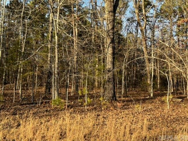 Lot 37 Primrose Creek Property Photo 16