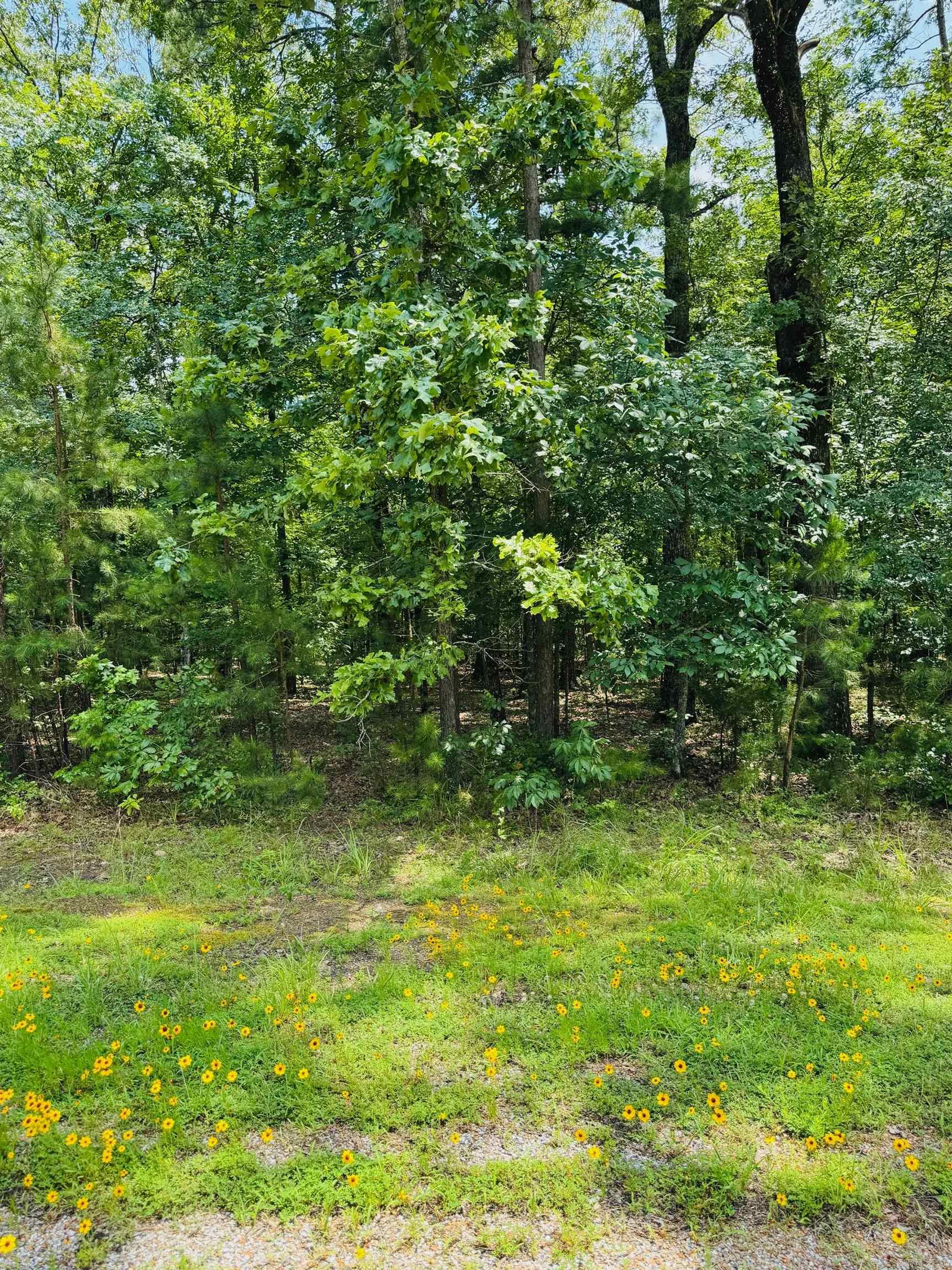 Lot 40 Primrose Creek Property Photo 1